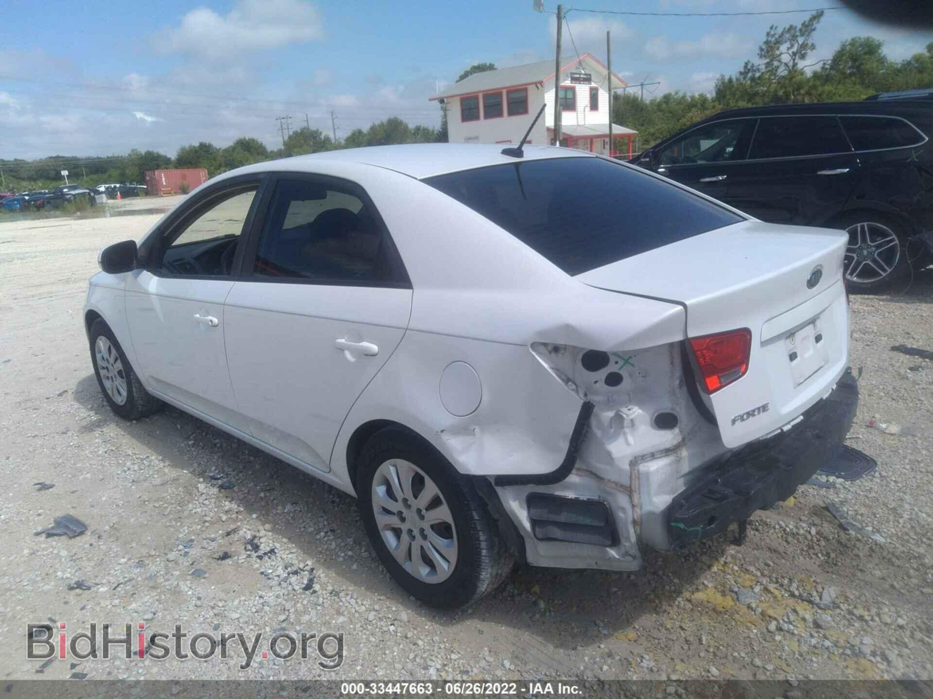 2012 KIA FORTE - VIN: KNAFU4A29C5562702 - Фото 3