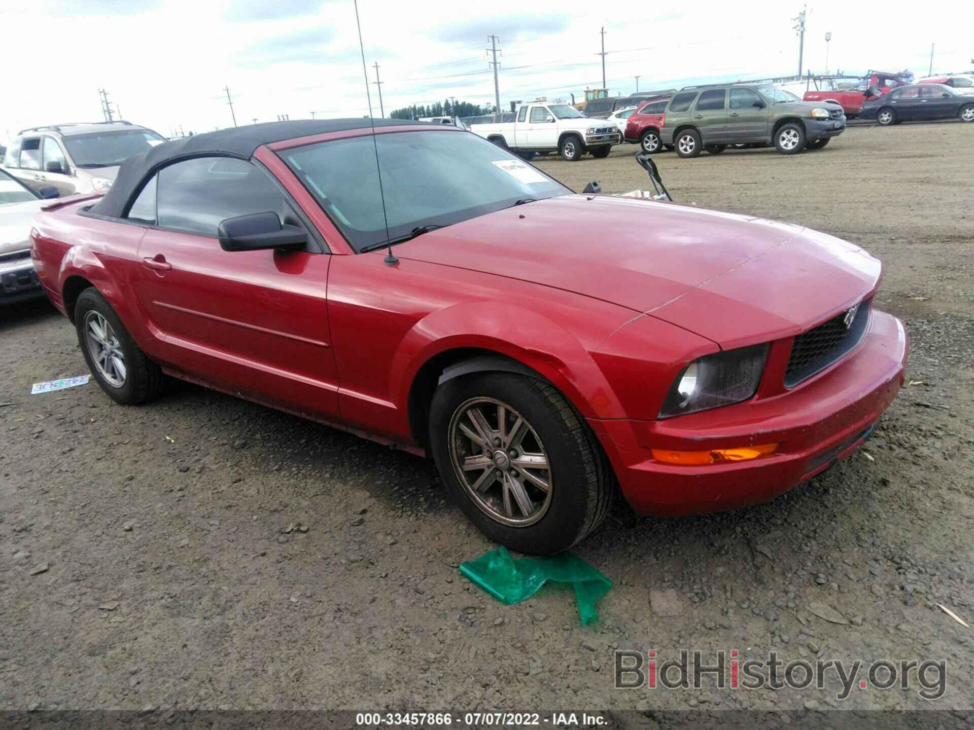 Photo 1ZVHT84N385201501 - FORD MUSTANG 2008