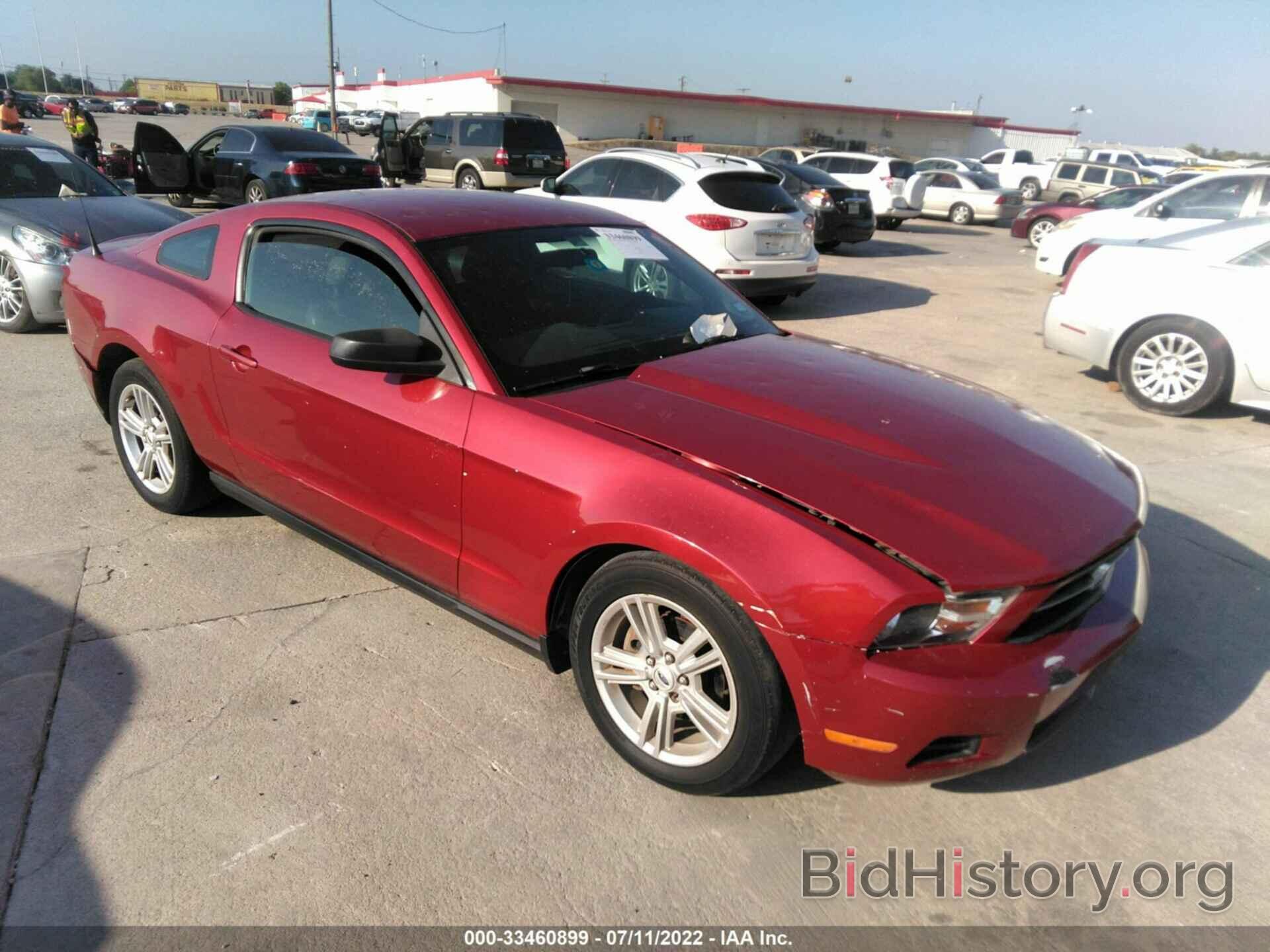 Photo 1ZVBP8AN7A5133515 - FORD MUSTANG 2010
