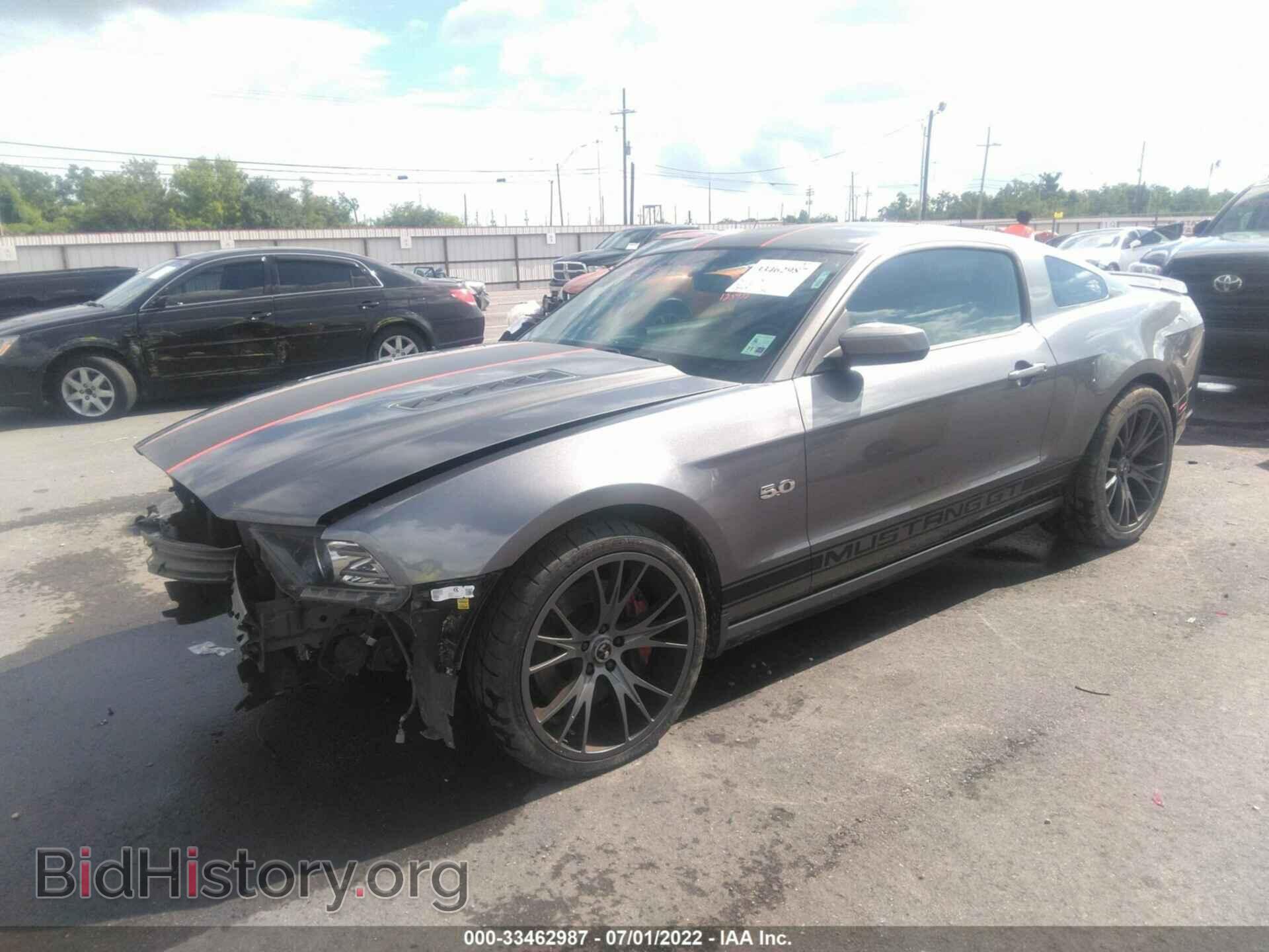 2013 FORD MUSTANG - VIN: 1ZVBP8CF5D5253694 - Фото 2