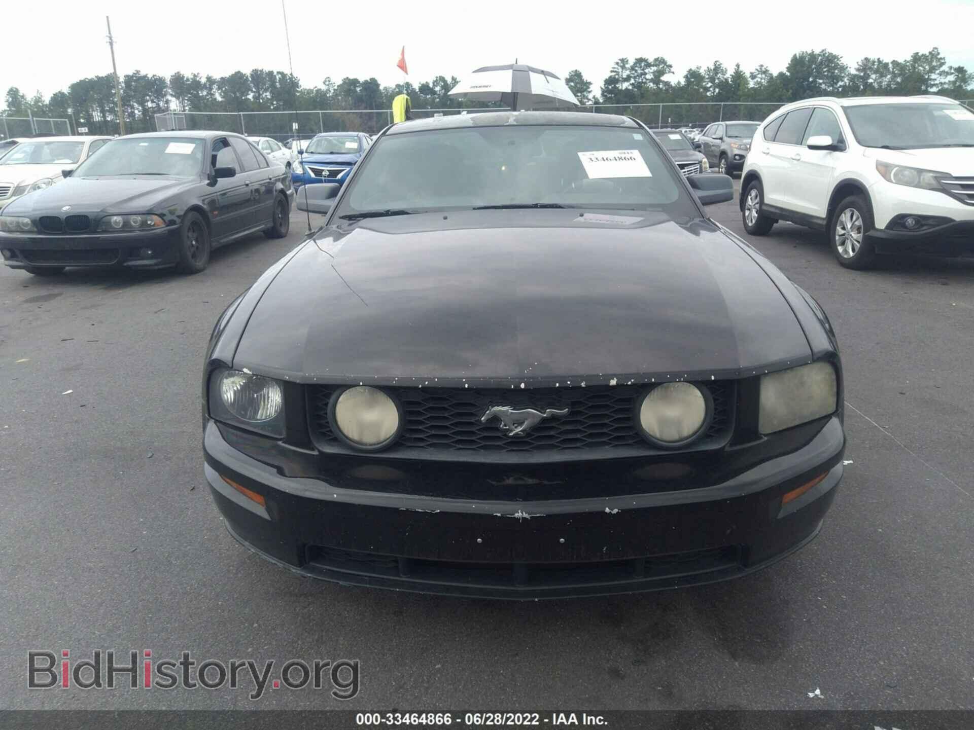 2006 FORD MUSTANG - VIN: 1ZVHT82H265113386 - Фото 6