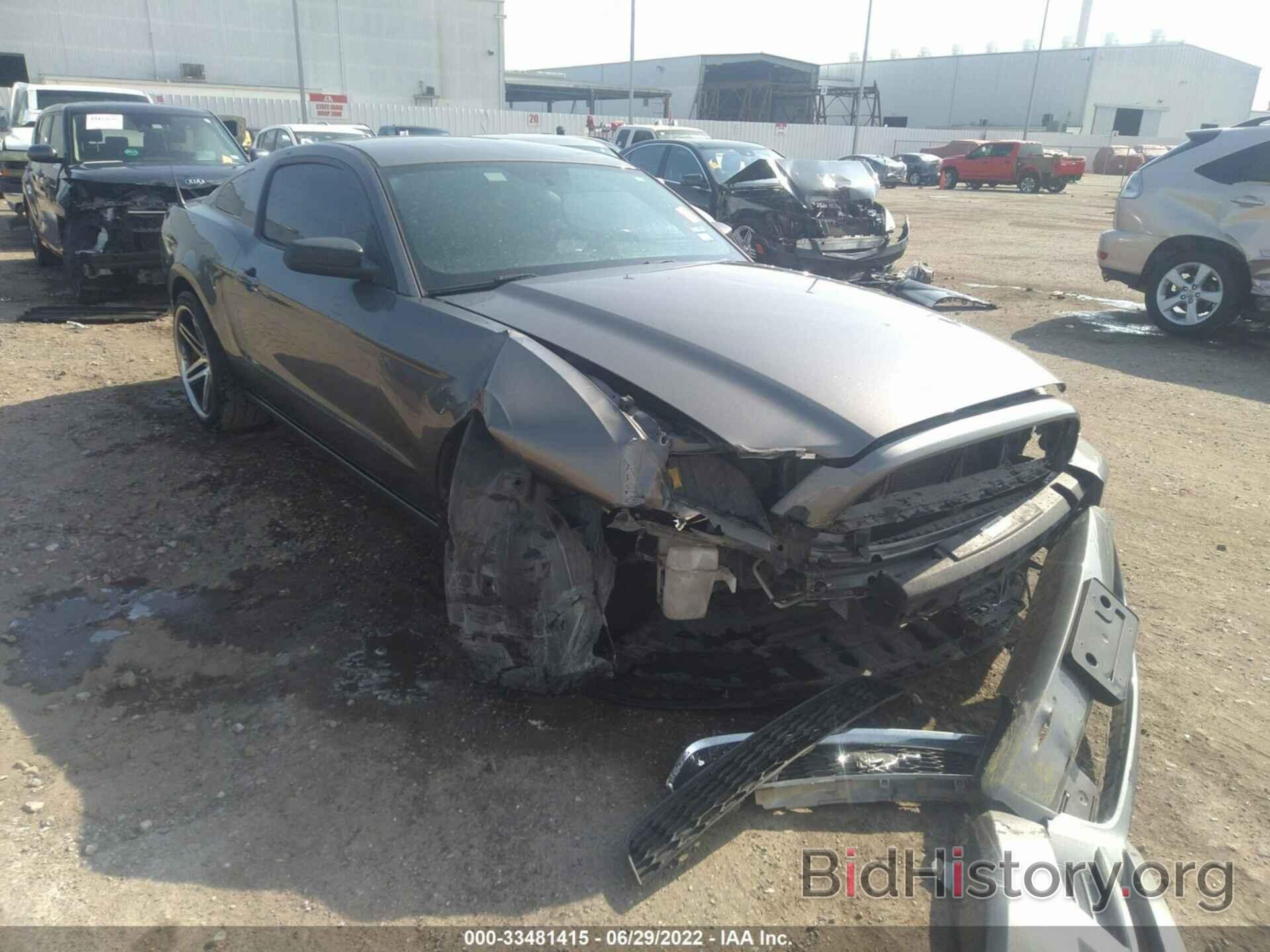 Photo 1ZVBP8AM8E5207506 - FORD MUSTANG 2014