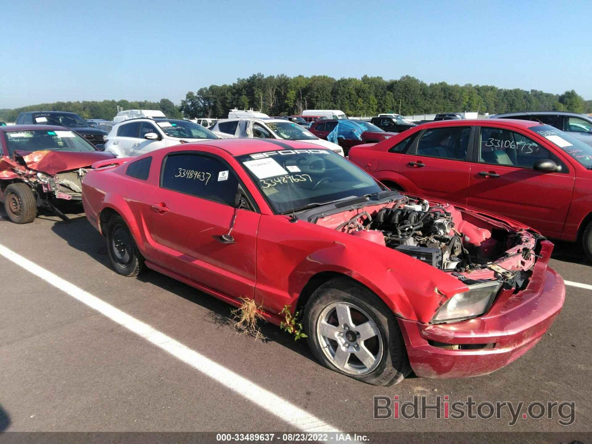 Photo 1ZVFT80N365180305 - FORD MUSTANG 2006