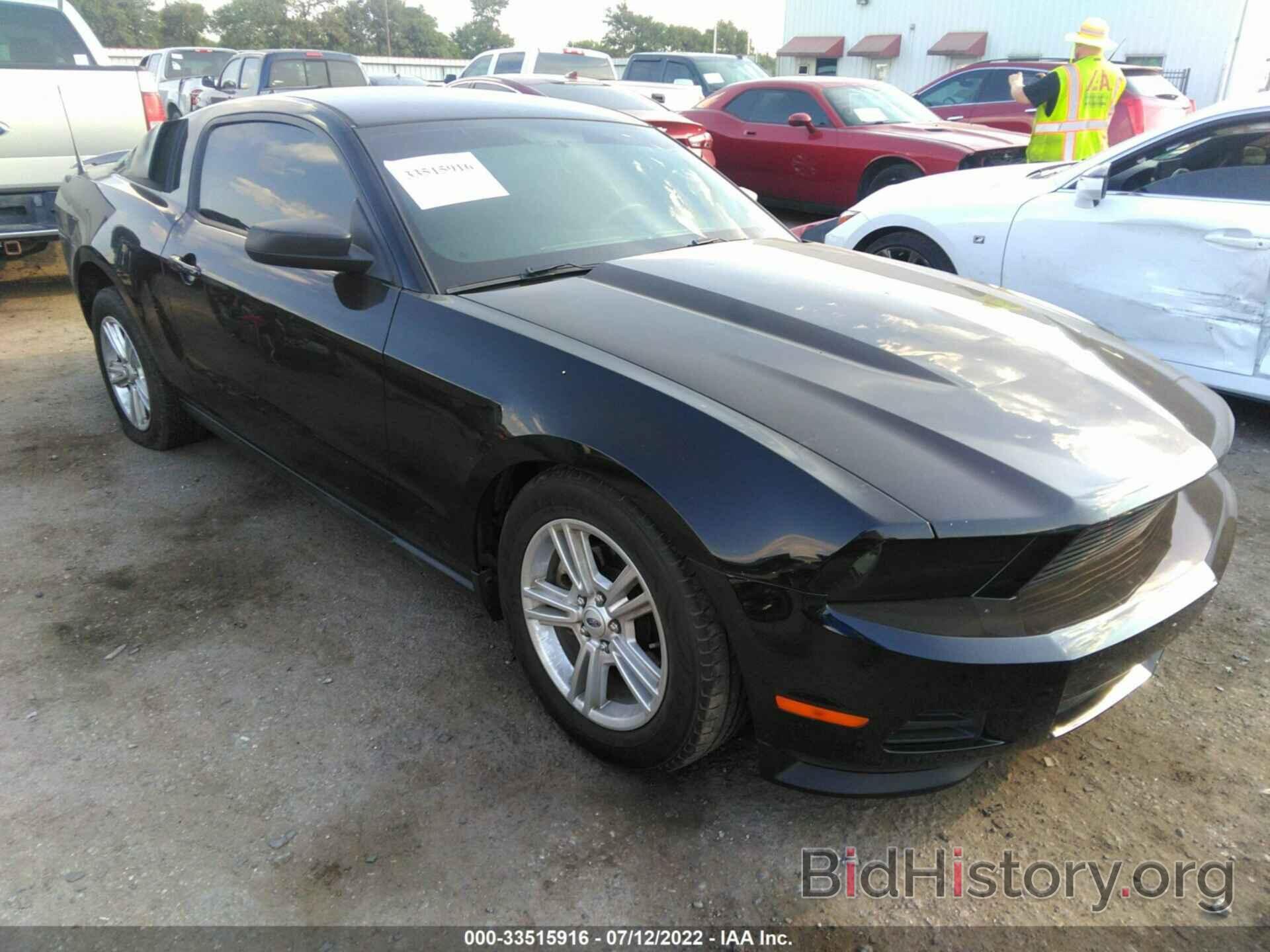 Photo 1ZVBP8AM9C5260499 - FORD MUSTANG 2012