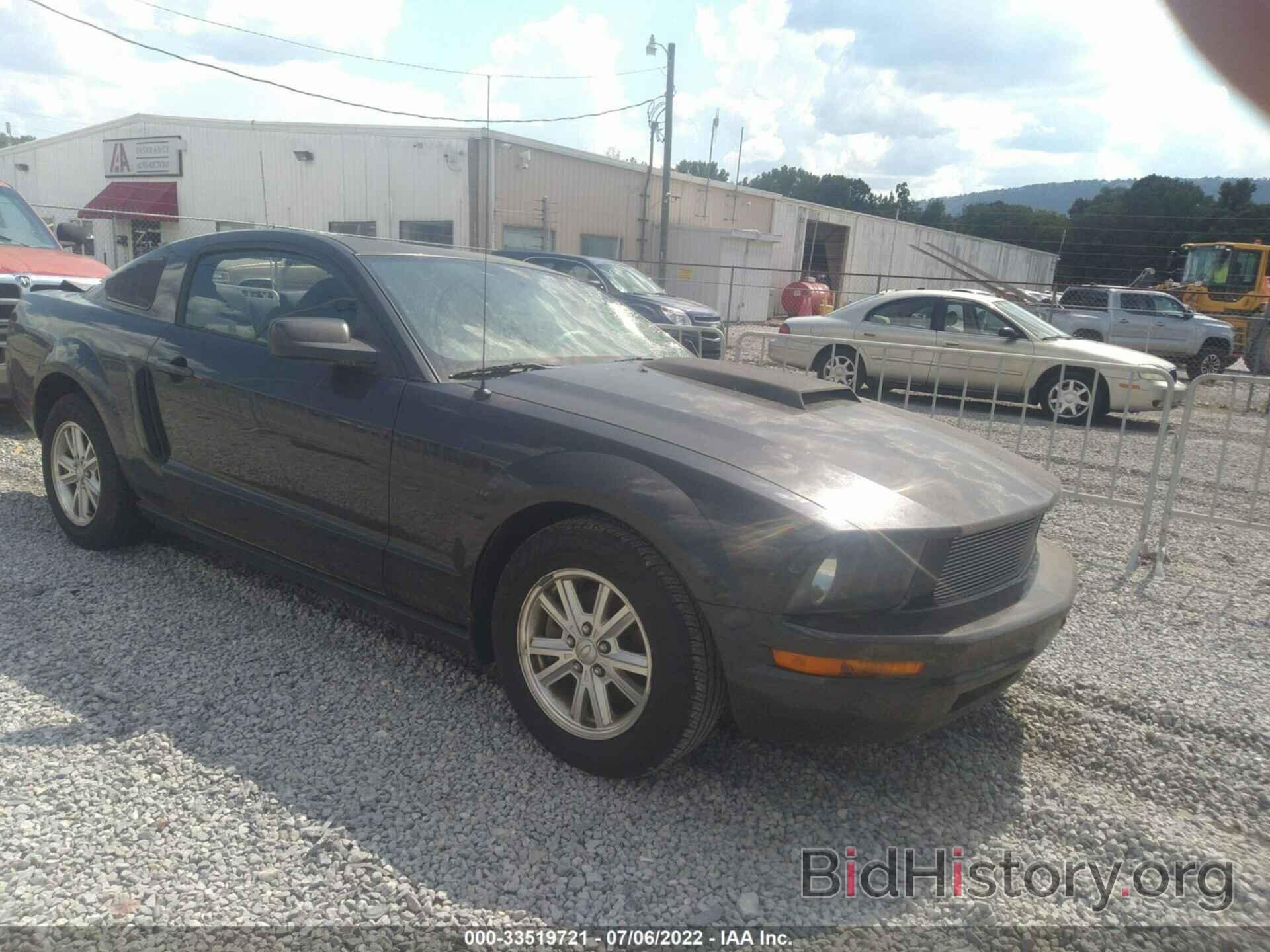 Photo 1ZVHT80N385203917 - FORD MUSTANG 2008
