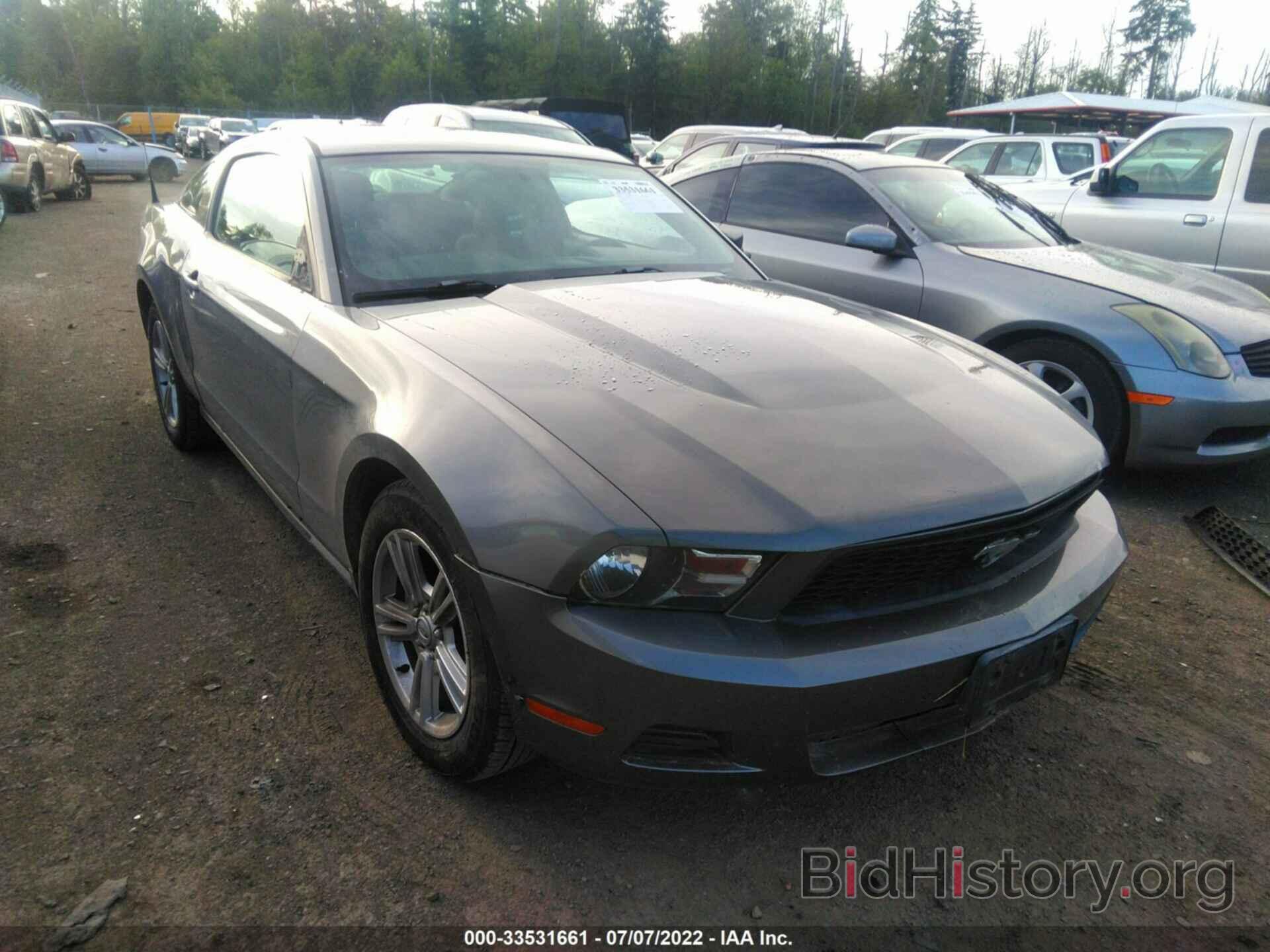 Photo 1ZVBP8AN7A5150654 - FORD MUSTANG 2010