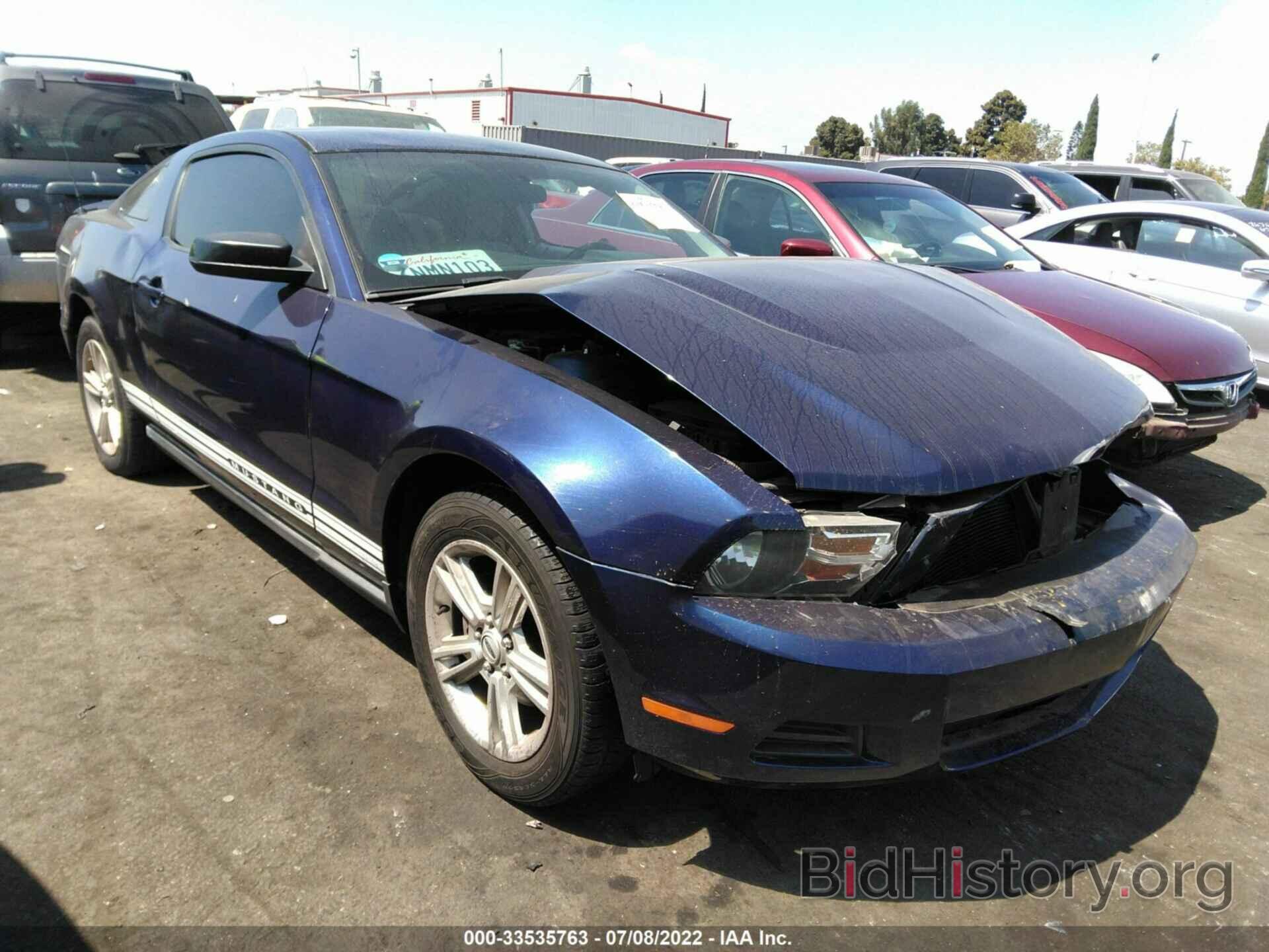 Photo 1ZVBP8AN5A5140303 - FORD MUSTANG 2010