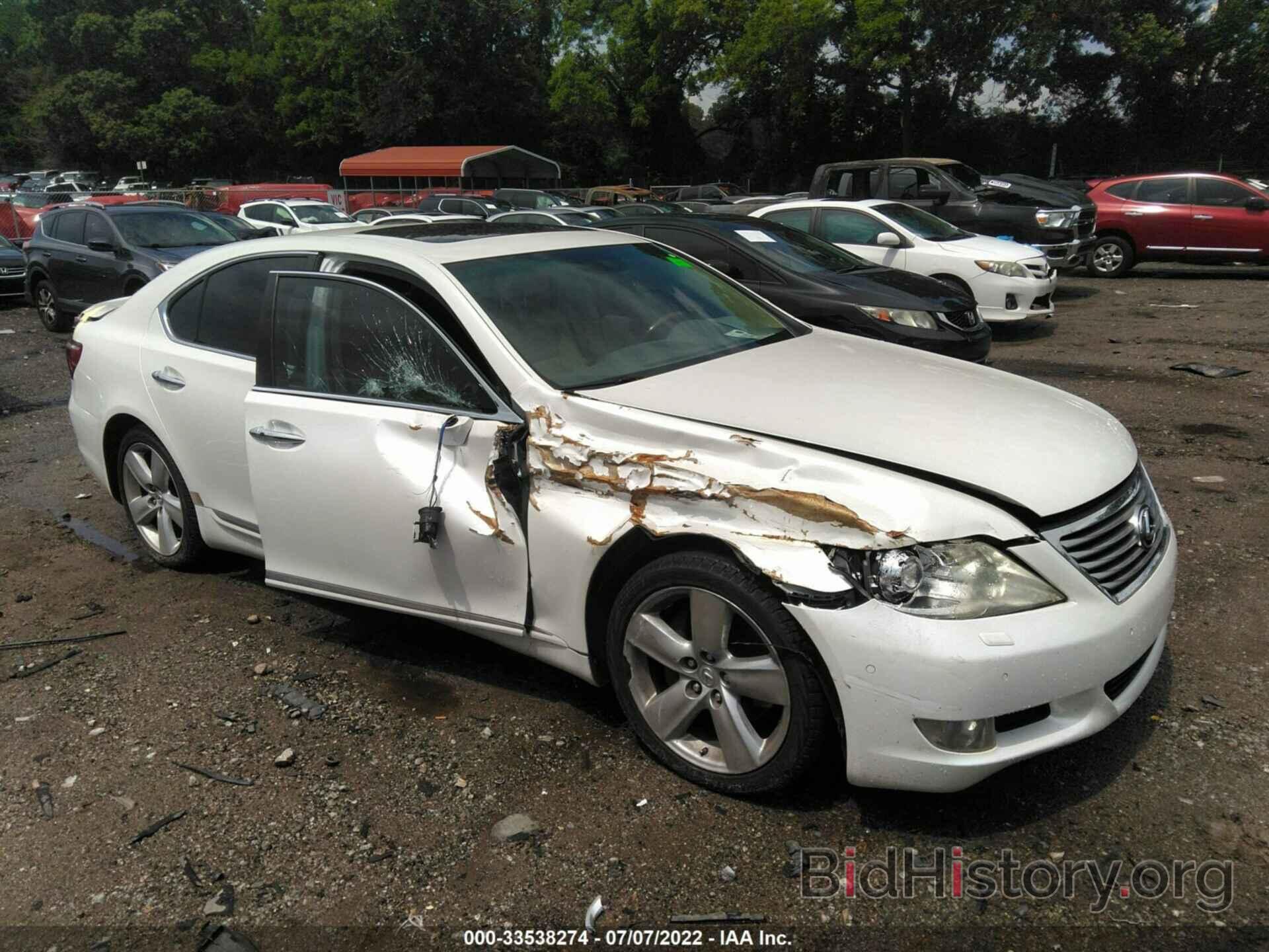 Фотография JTHBL5EF8A5095565 - LEXUS LS 460 2010