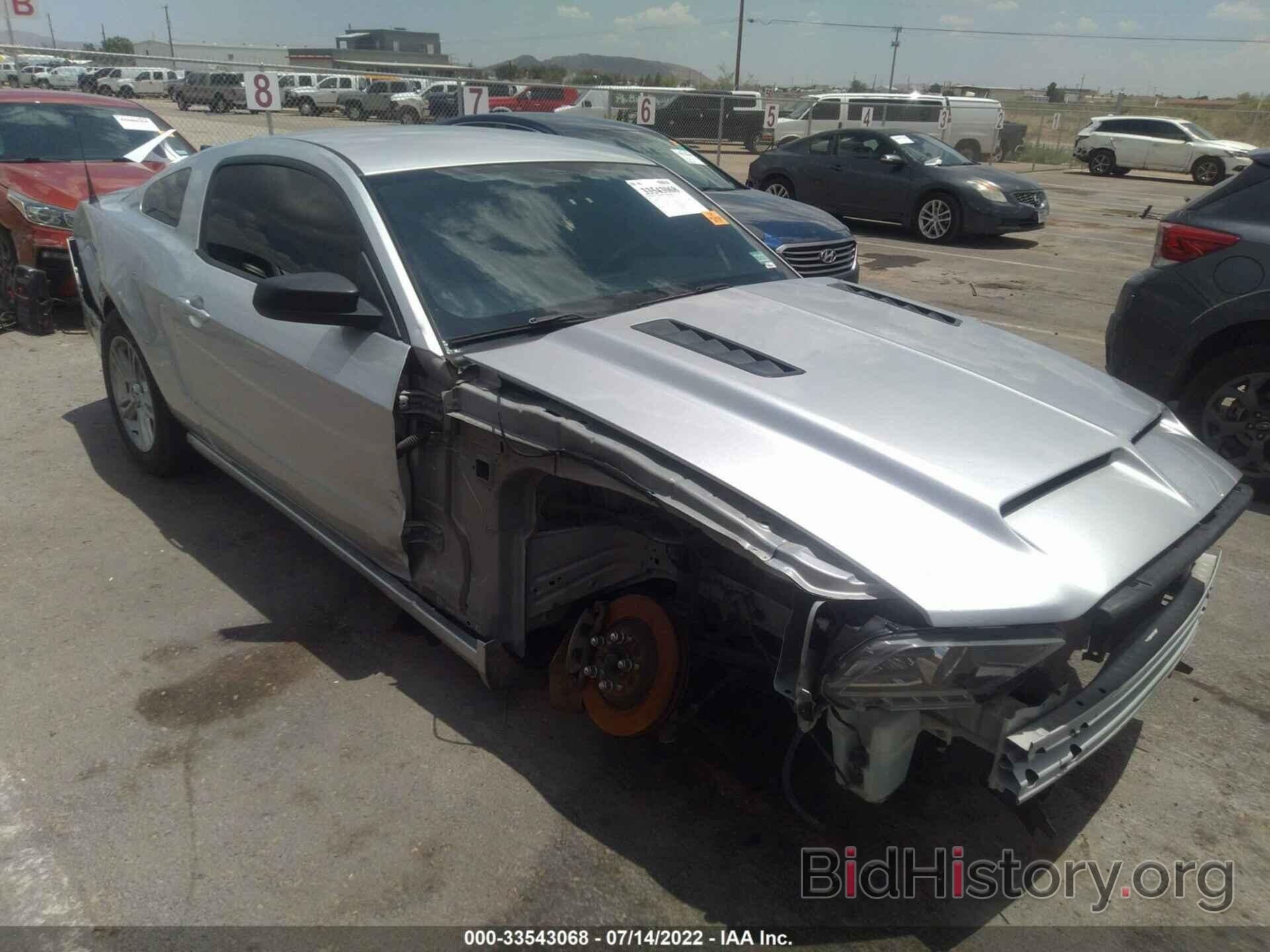 Photo 1ZVBP8AM2E5275073 - FORD MUSTANG 2014