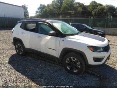 2017 Jeep COMPASS Trailhawk, белый — VIN 3C4NJDDB1HT667163, IAAI