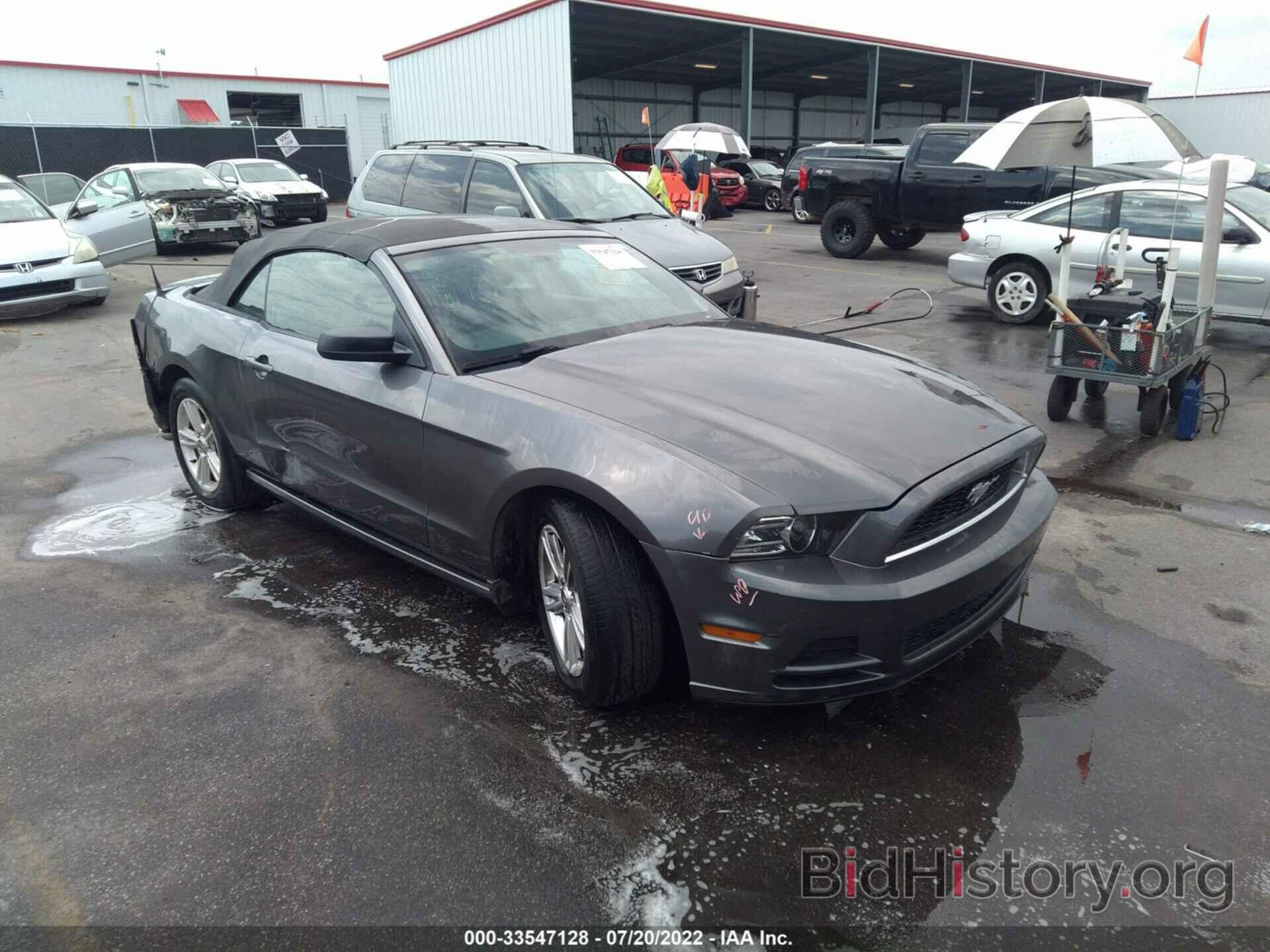 Photo 1ZVBP8EMXE5239979 - FORD MUSTANG 2014