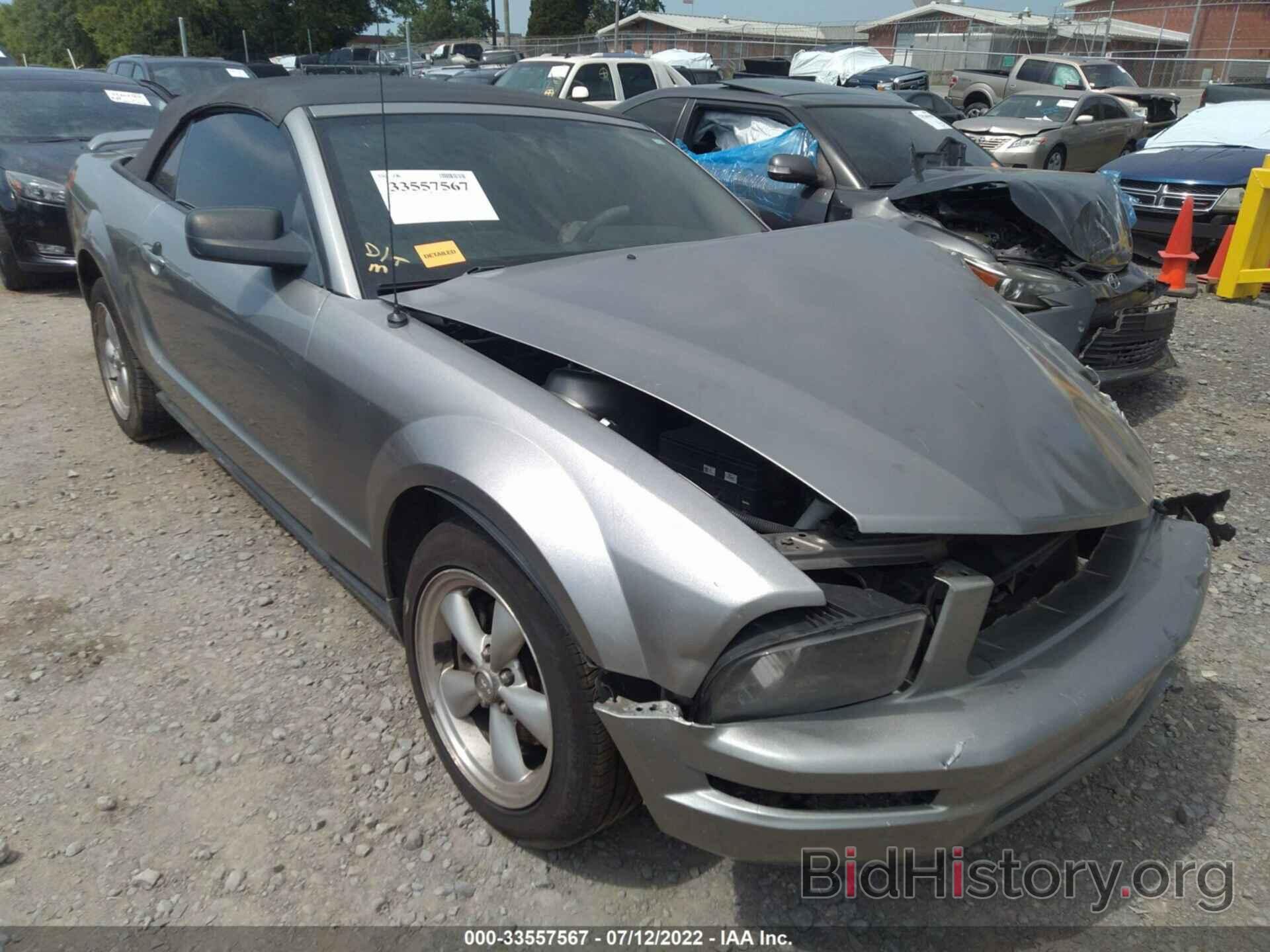 Photo 1ZVHT84NX85198404 - FORD MUSTANG 2008