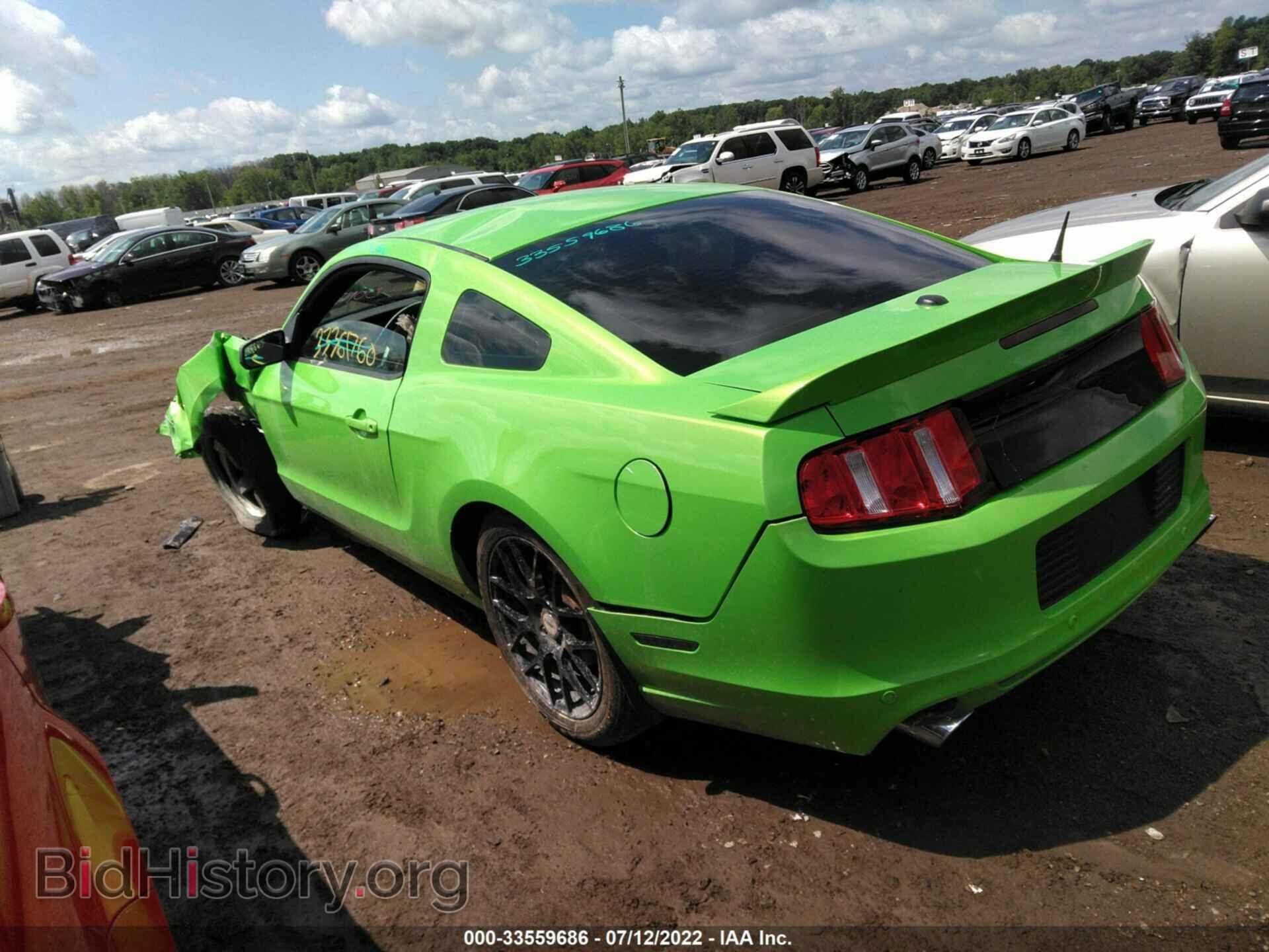 2013 FORD MUSTANG - VIN: 1ZVBP8CF4D5249989 - Фото 3