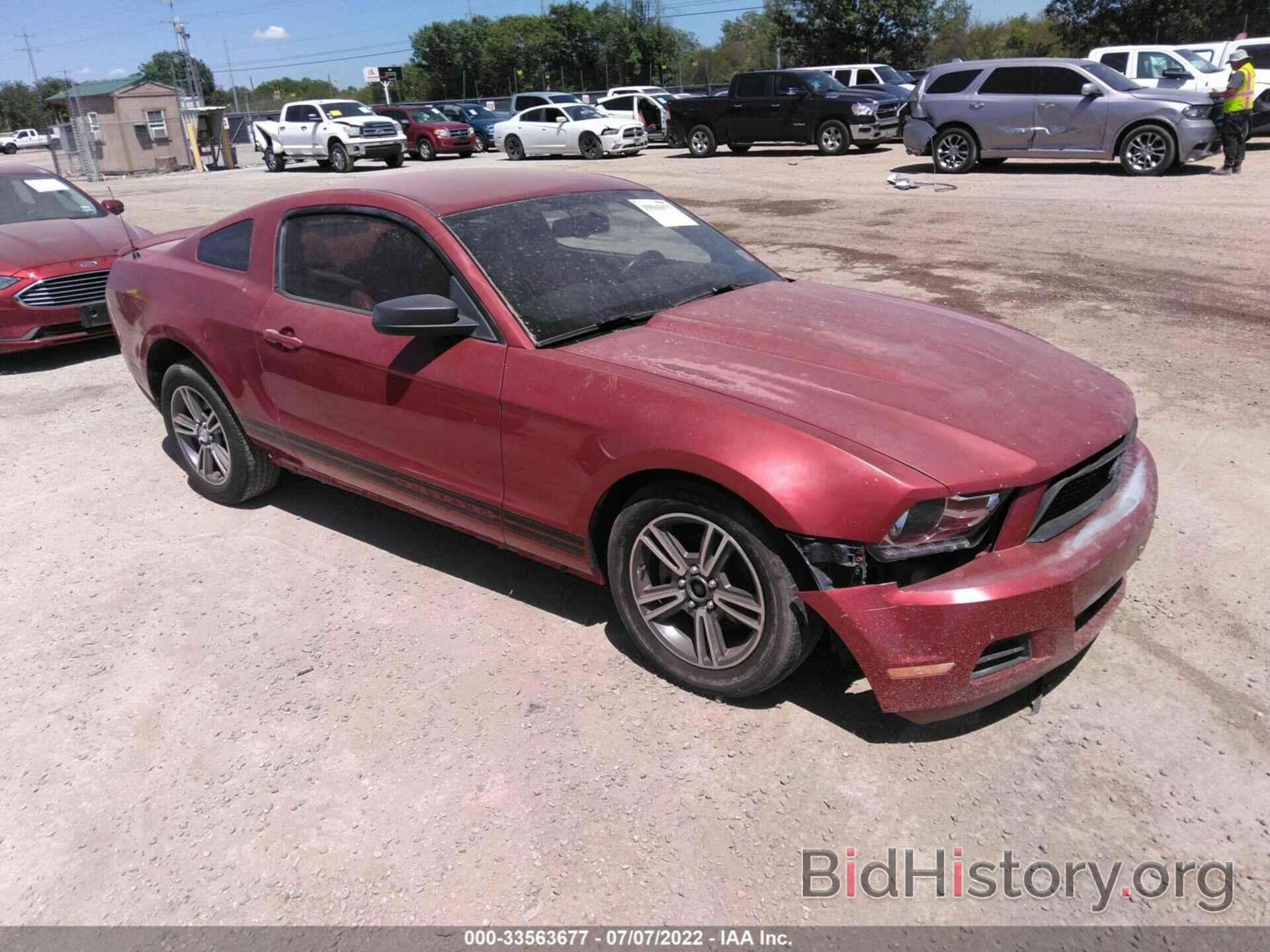 Photo 1ZVBP8AN7A5107285 - FORD MUSTANG 2010