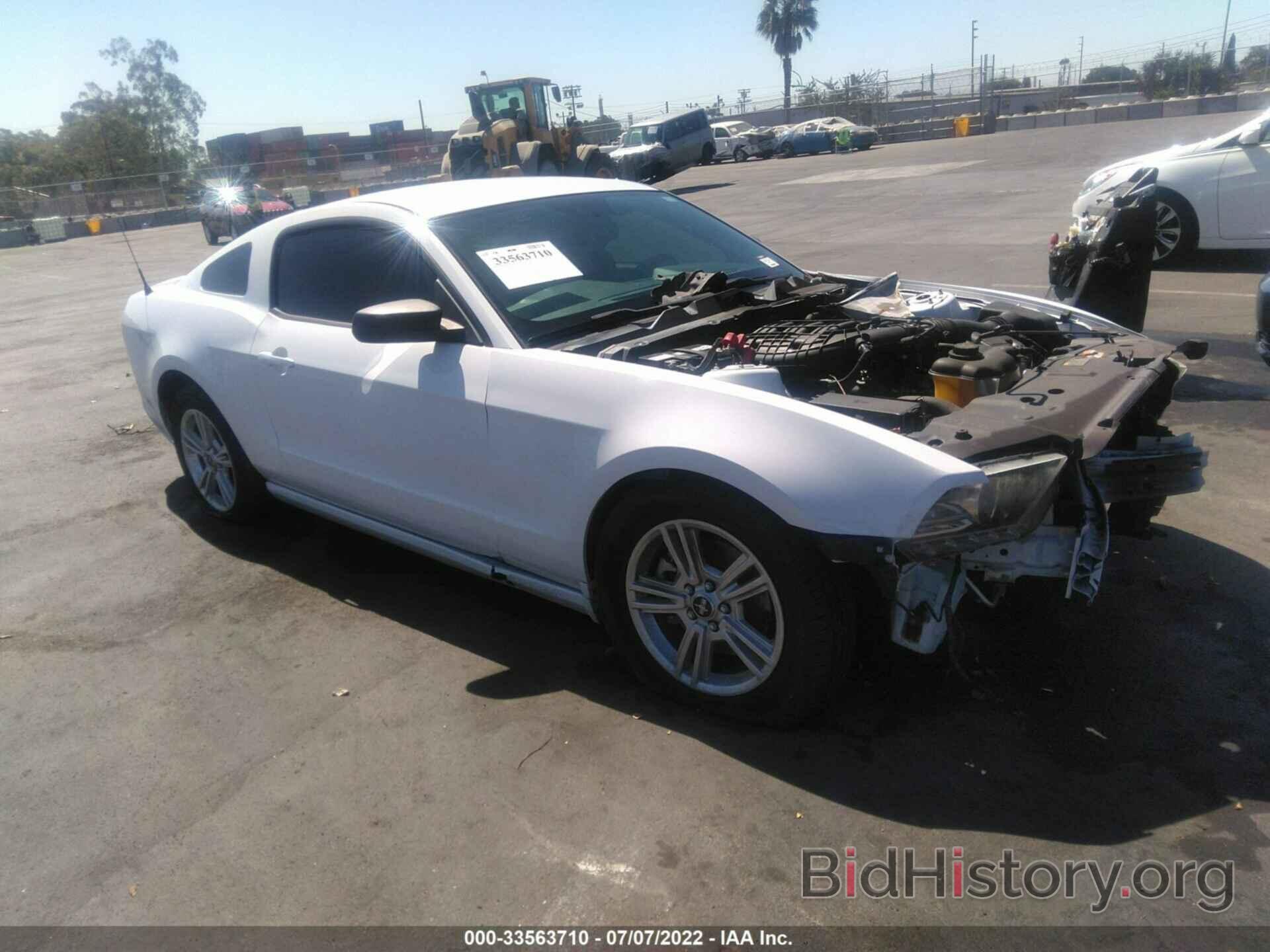 Photo 1ZVBP8AM8E5239811 - FORD MUSTANG 2014