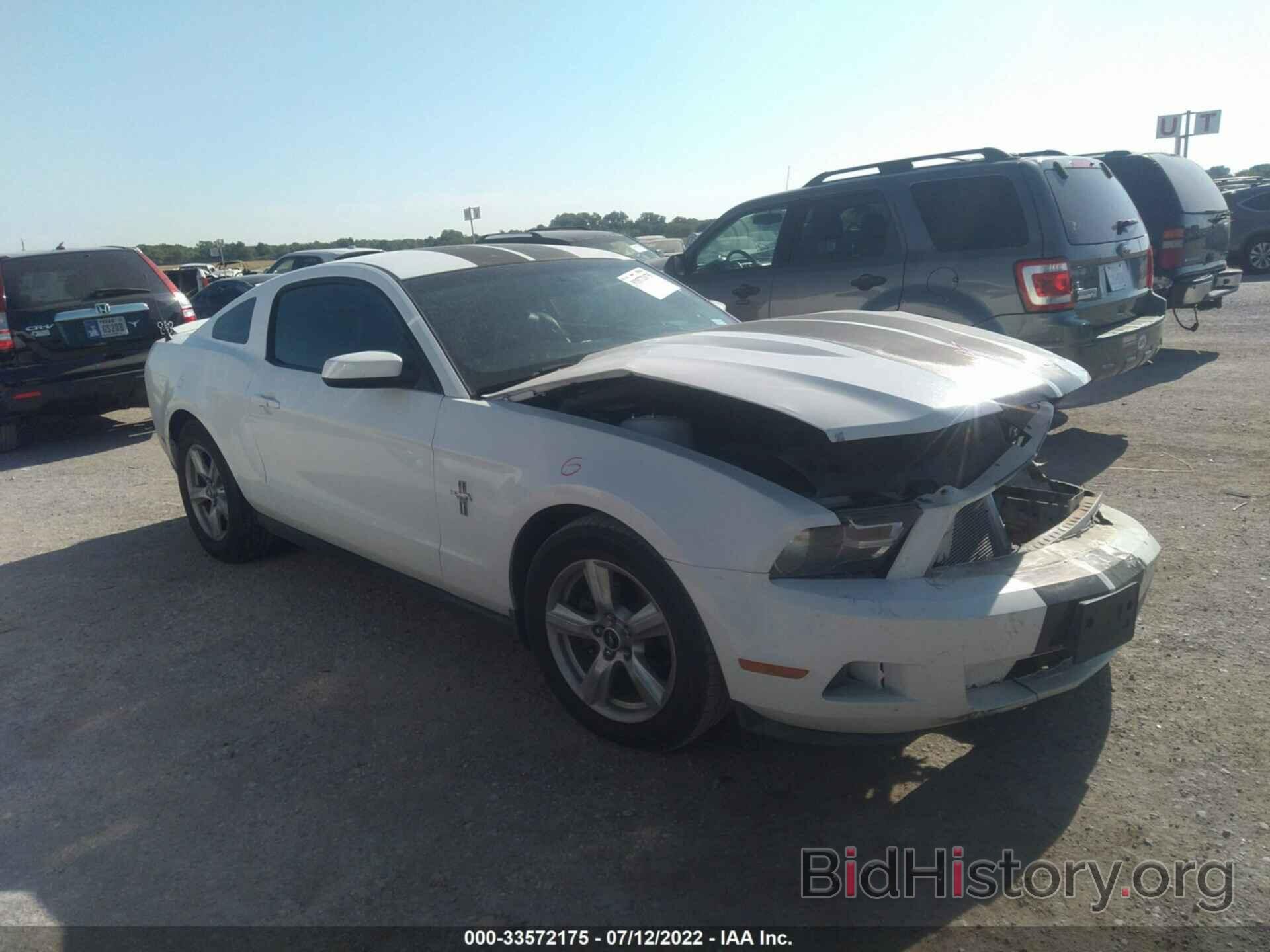 Photo 1ZVBP8AN7A5104144 - FORD MUSTANG 2010