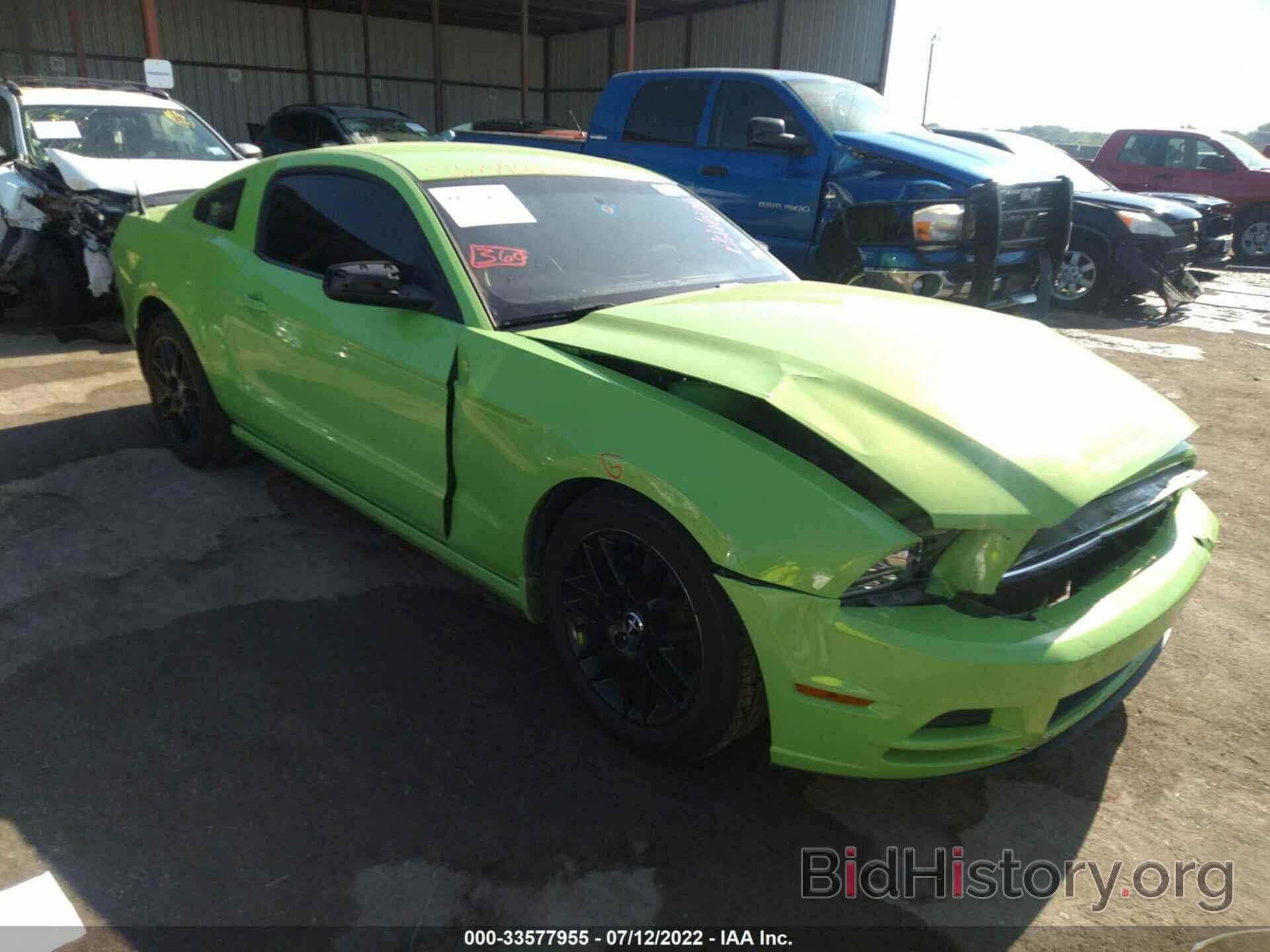 Photo 1ZVBP8AM1E5258278 - FORD MUSTANG 2014
