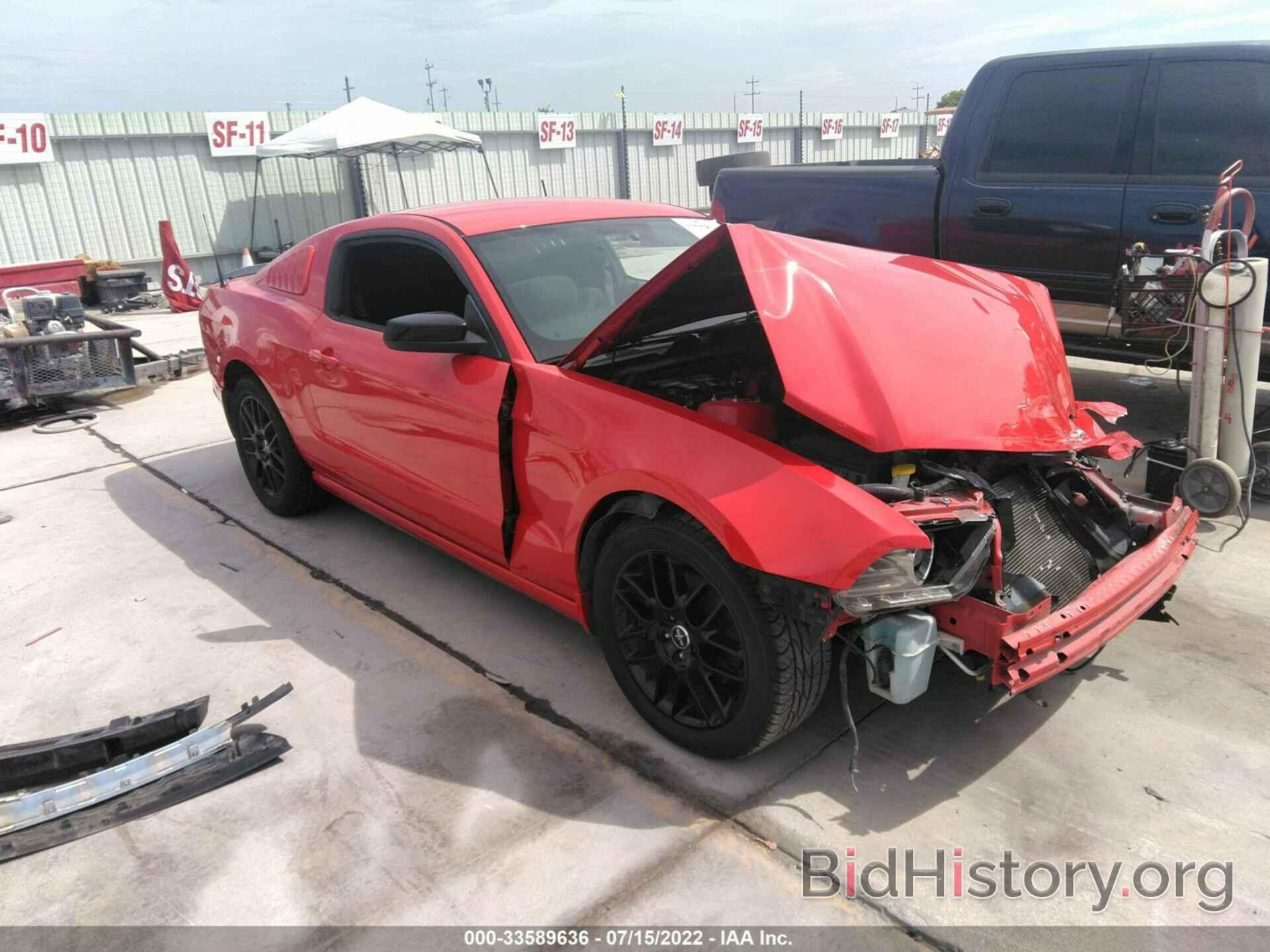 Photo 1ZVBP8AM9E5287995 - FORD MUSTANG 2014