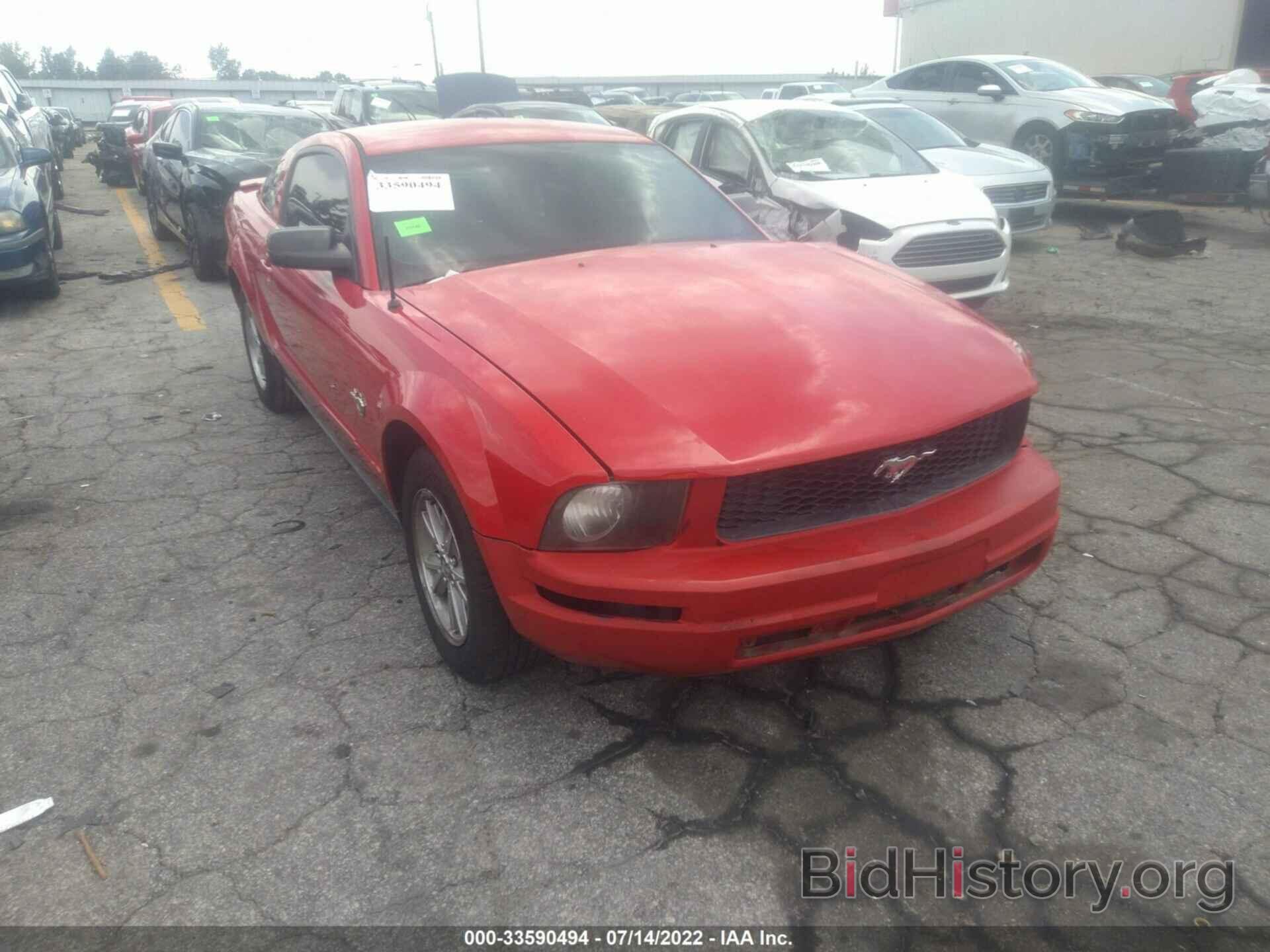 Photo 1ZVHT80N495133166 - FORD MUSTANG 2009