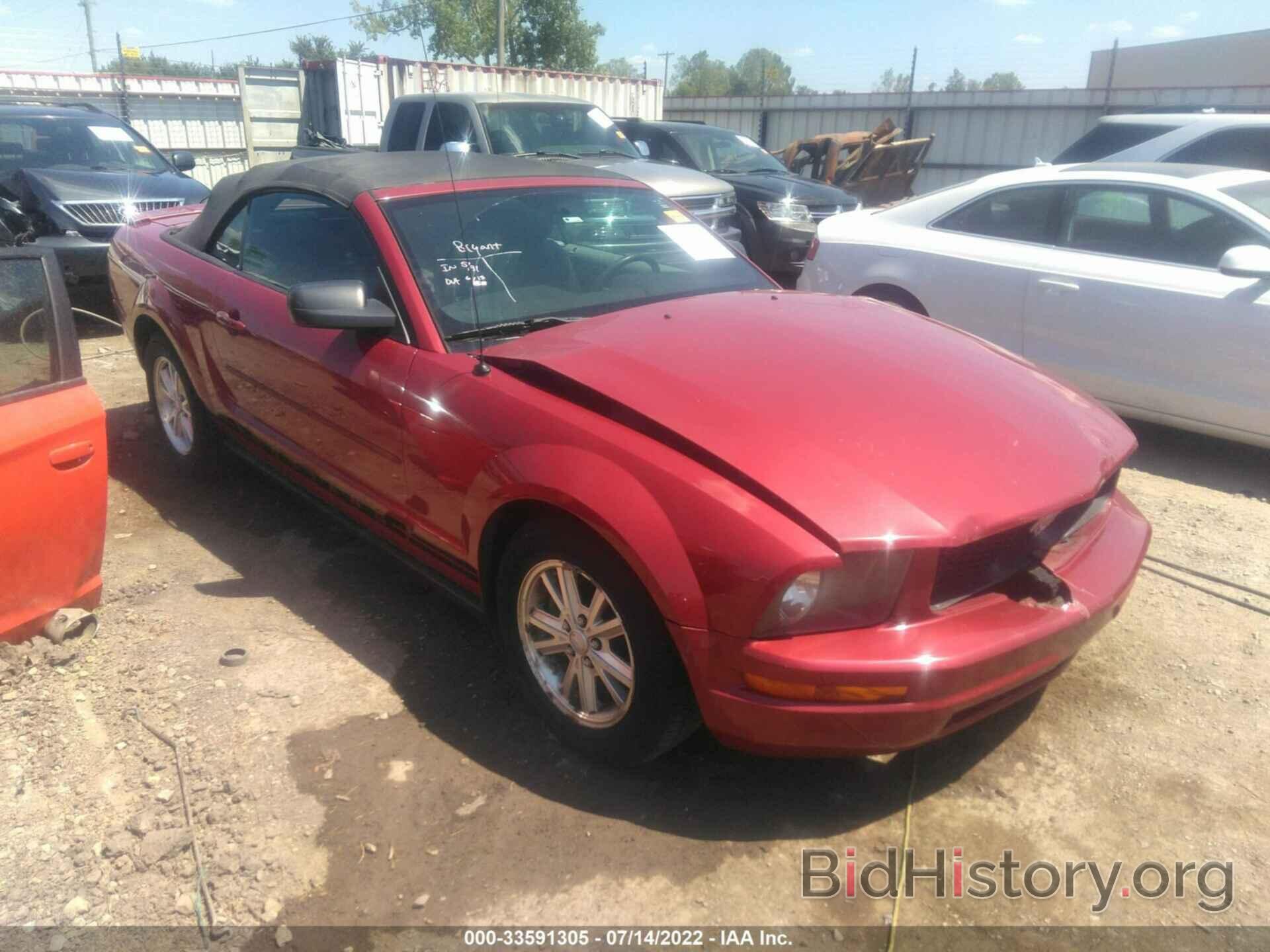Photo 1ZVHT84NX85183742 - FORD MUSTANG 2008