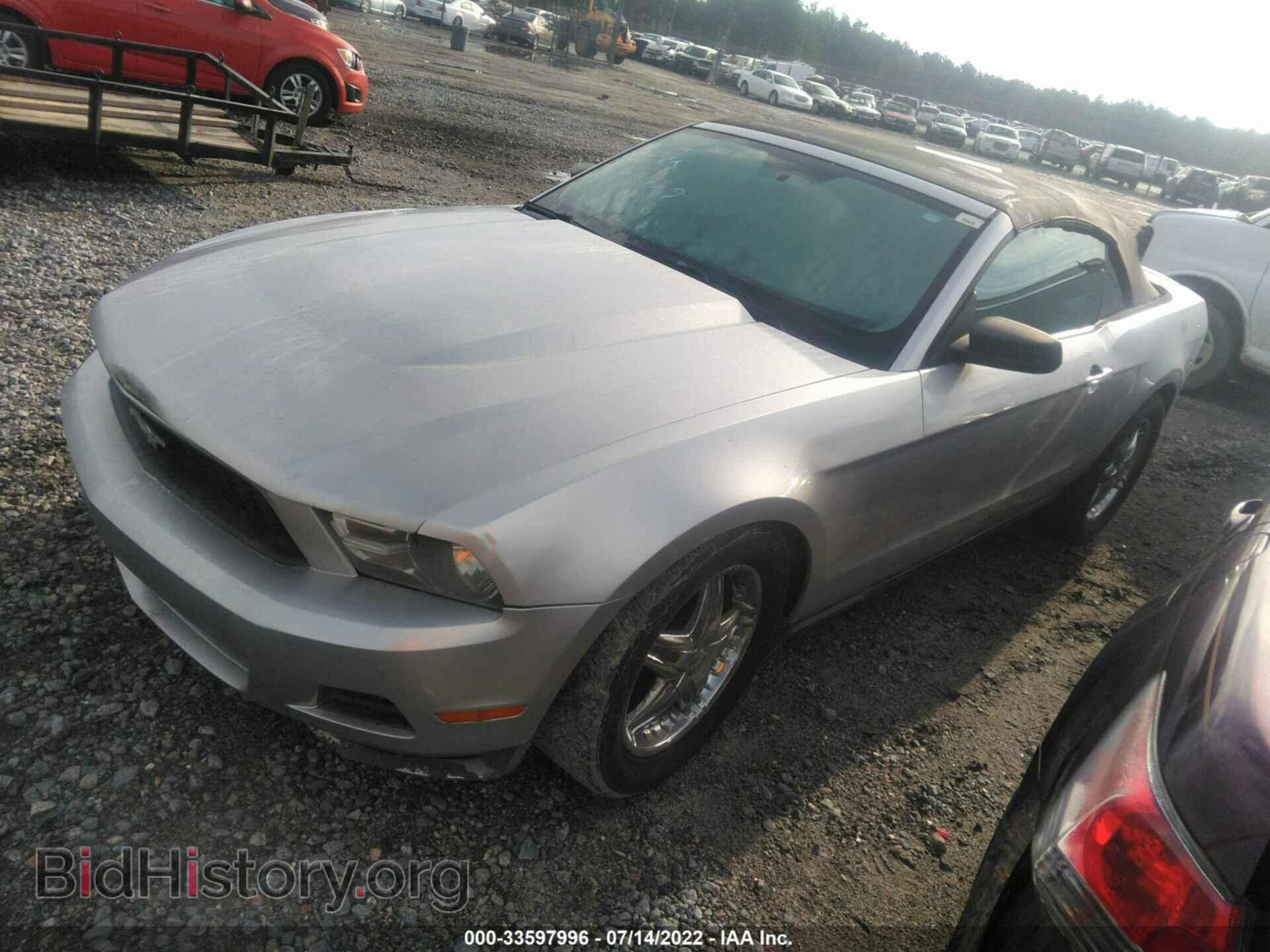 2010 FORD MUSTANG - VIN: 1ZVBP8ENXA5157429 - Фото 2