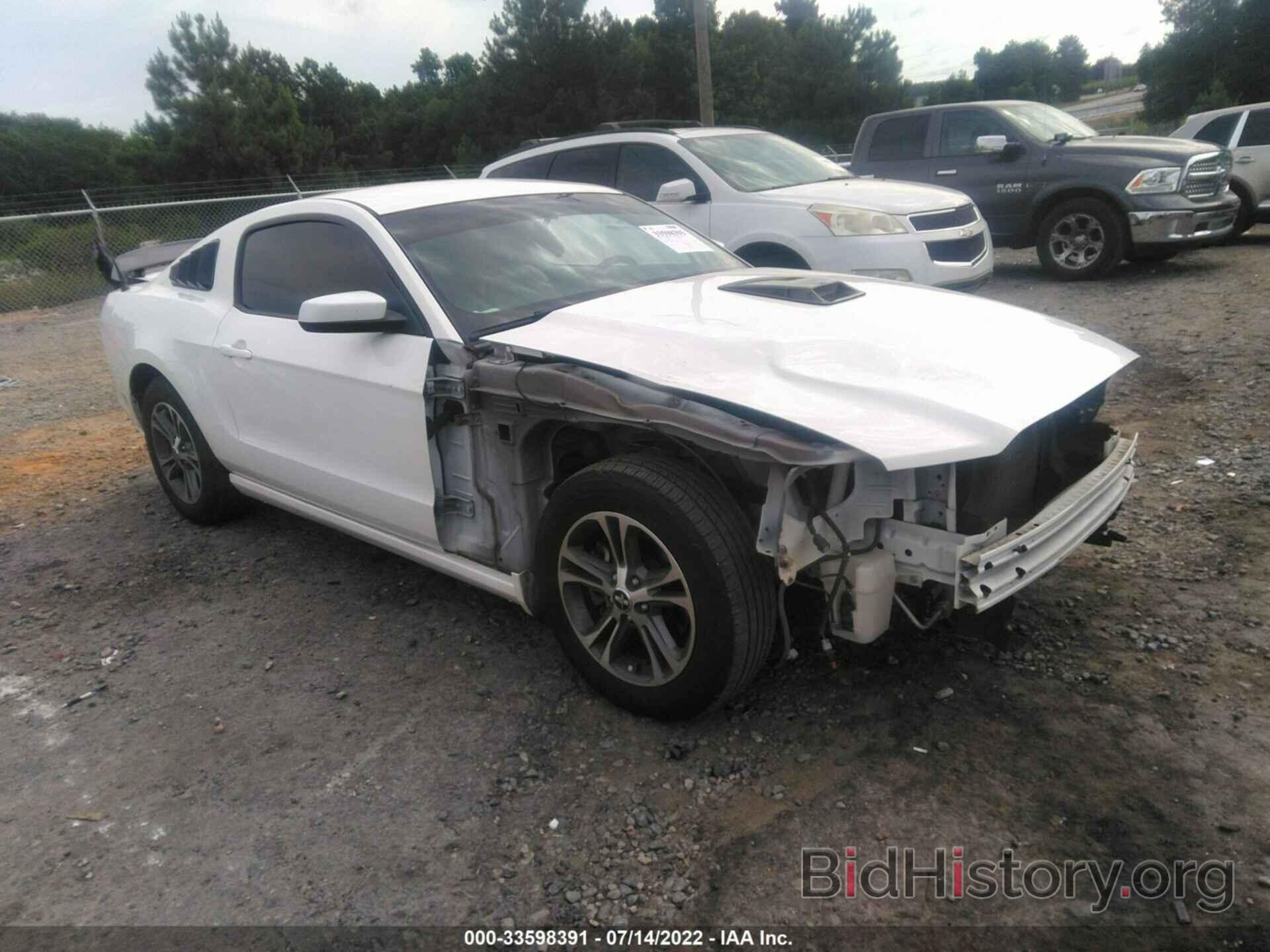 Photo 1ZVBP8AM3D5260399 - FORD MUSTANG 2013