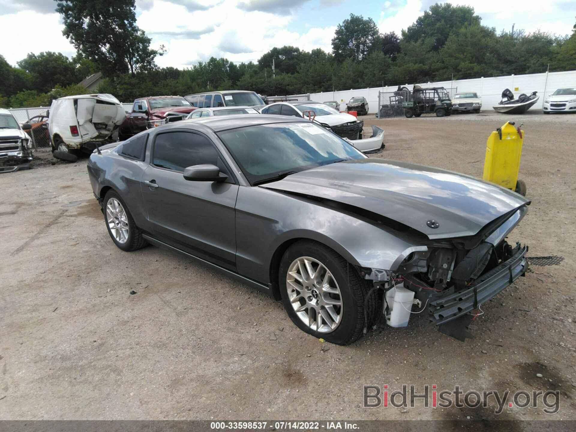 Photo 1ZVBP8AMXD5254616 - FORD MUSTANG 2013