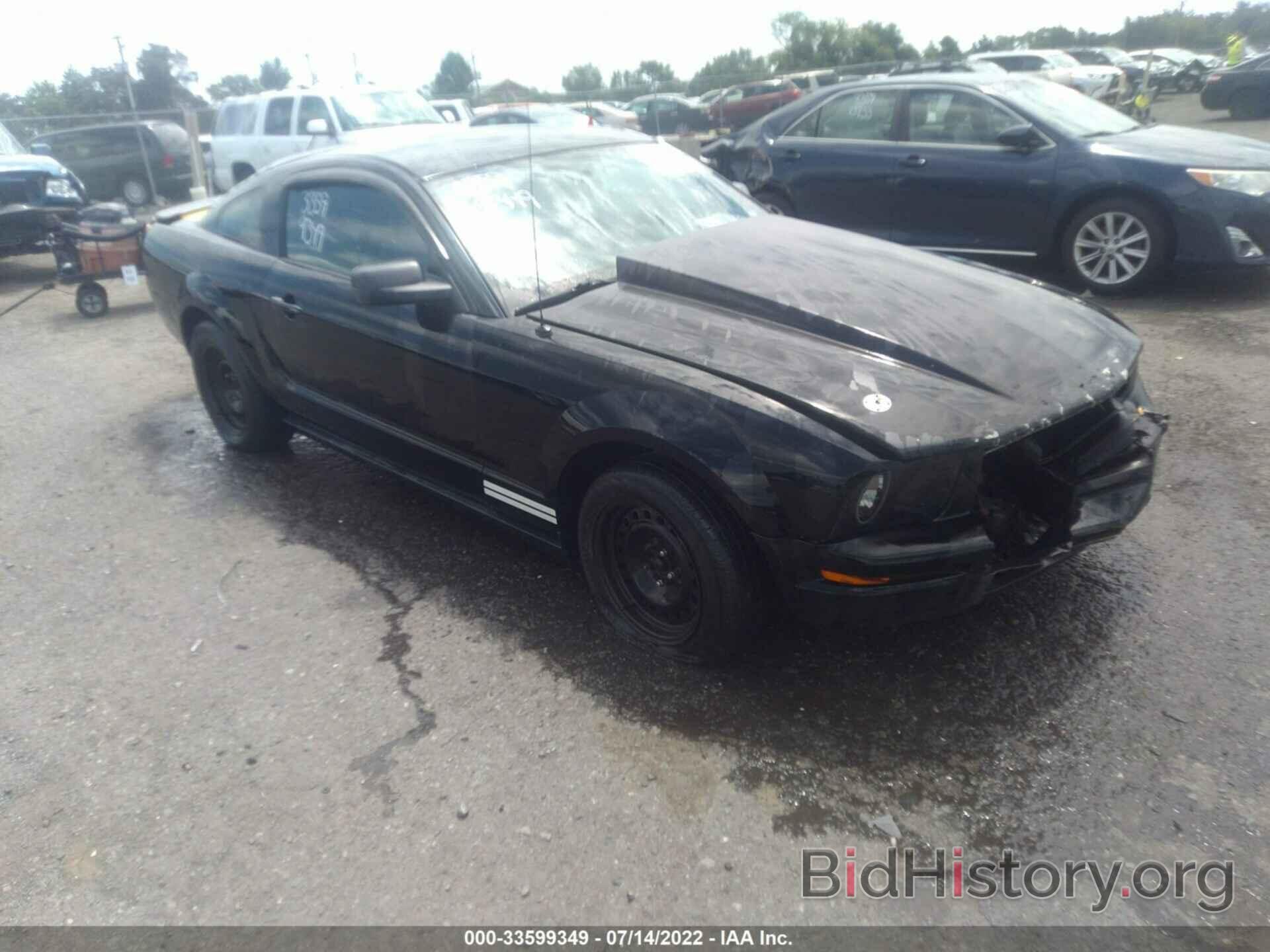 Photo 1ZVHT80N175345469 - FORD MUSTANG 2007