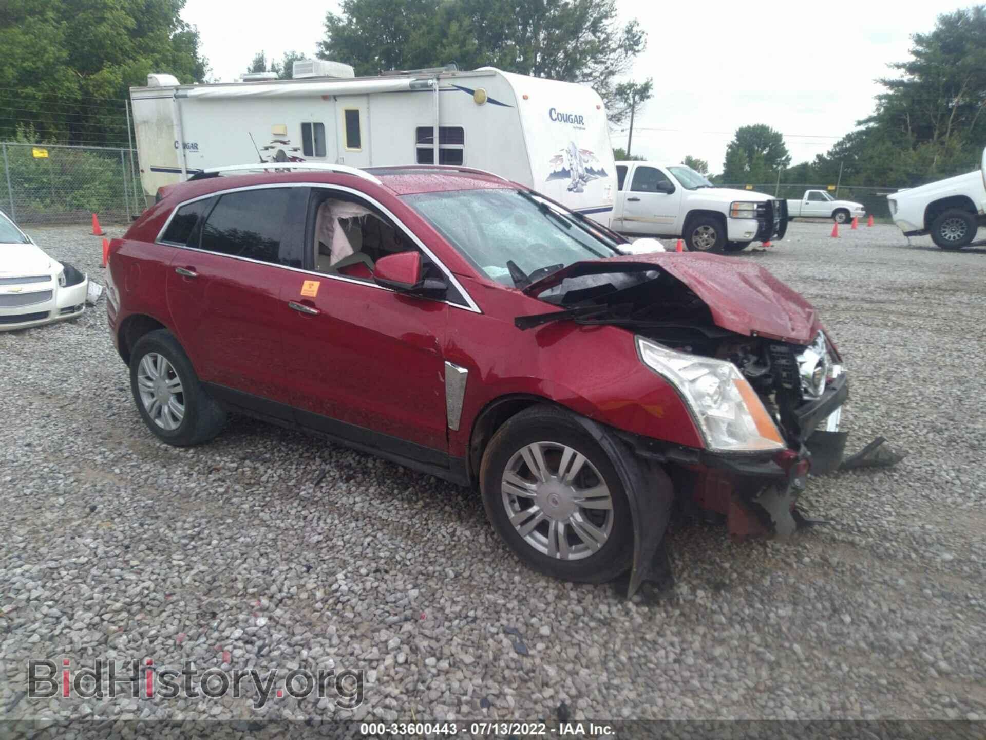 Фотография 3GYFNCE34DS592205 - CADILLAC SRX 2013