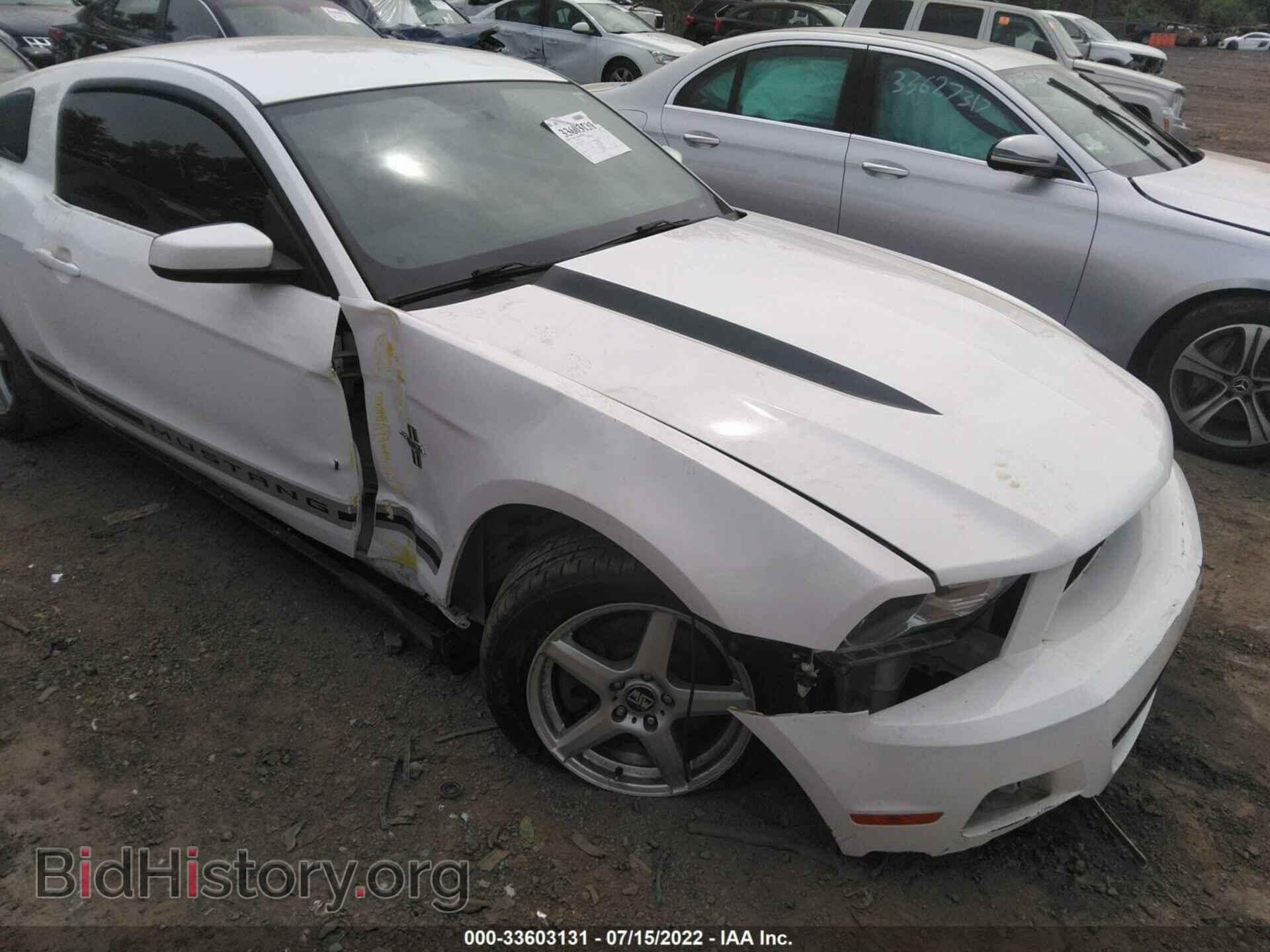 2012 FORD MUSTANG - VIN: 1ZVBP8AMXC5206385 - Фото 6