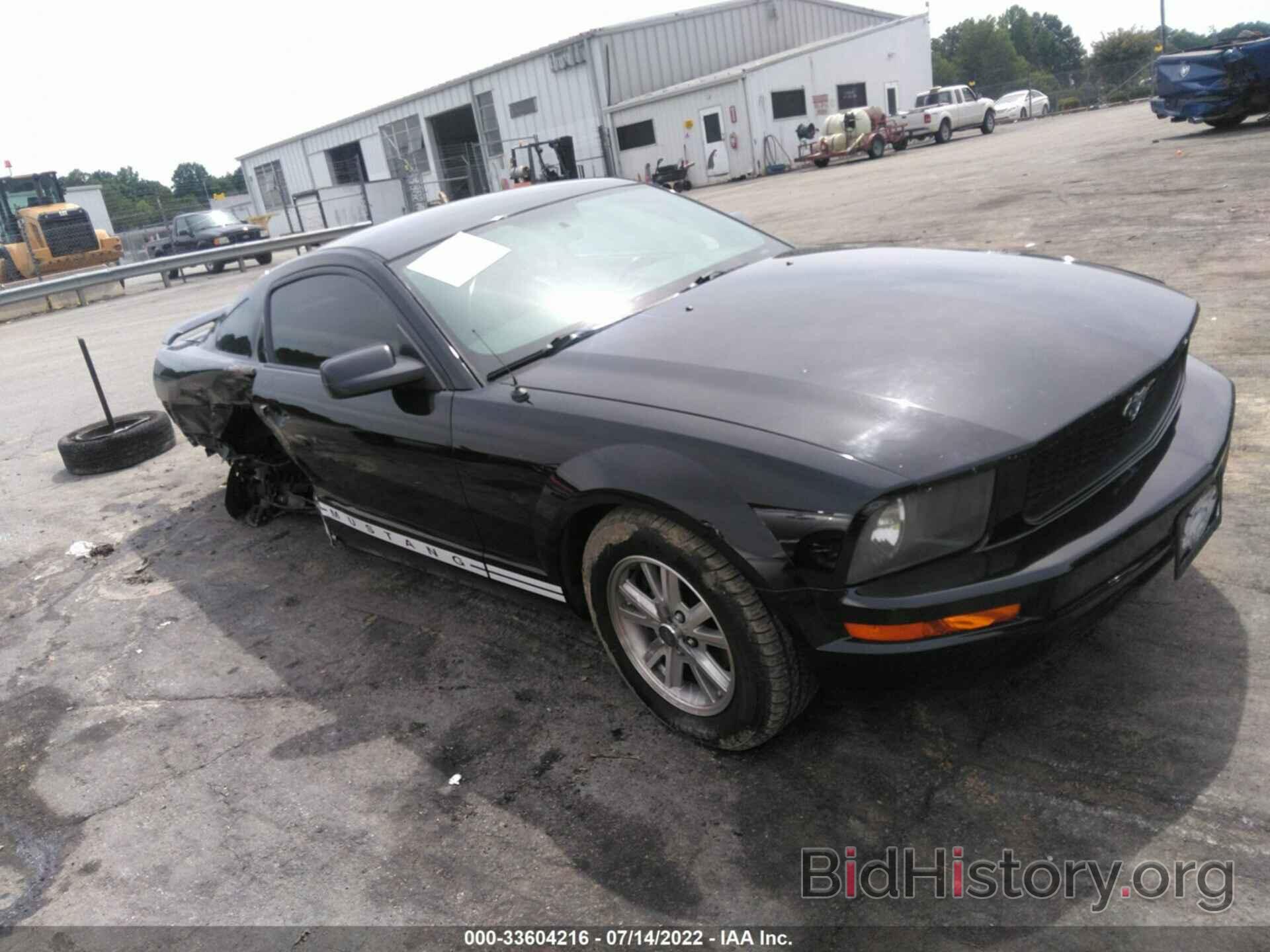 Photo 1ZVHT80N565113763 - FORD MUSTANG 2006