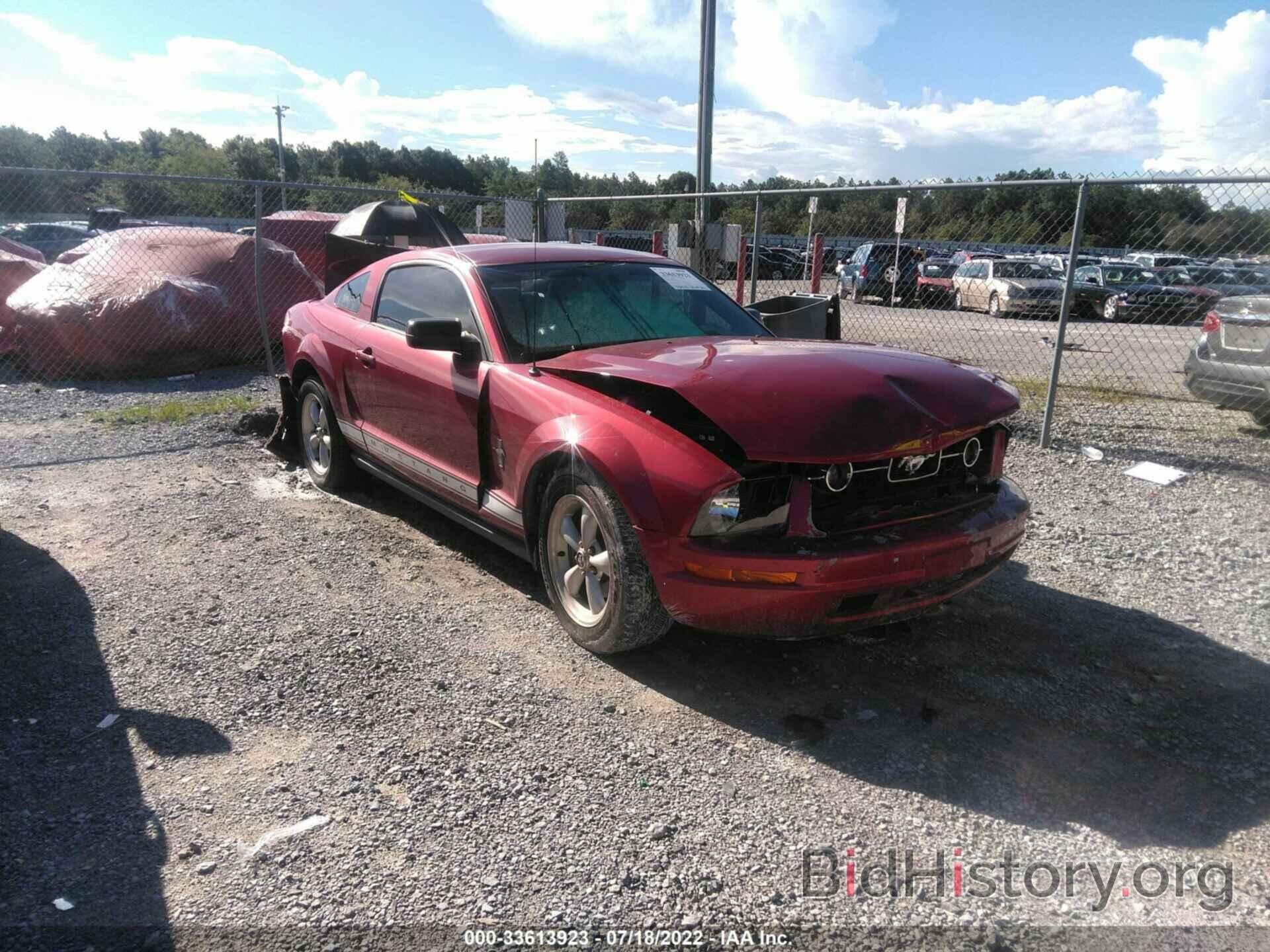 Photo 1ZVFT80N875259633 - FORD MUSTANG 2007