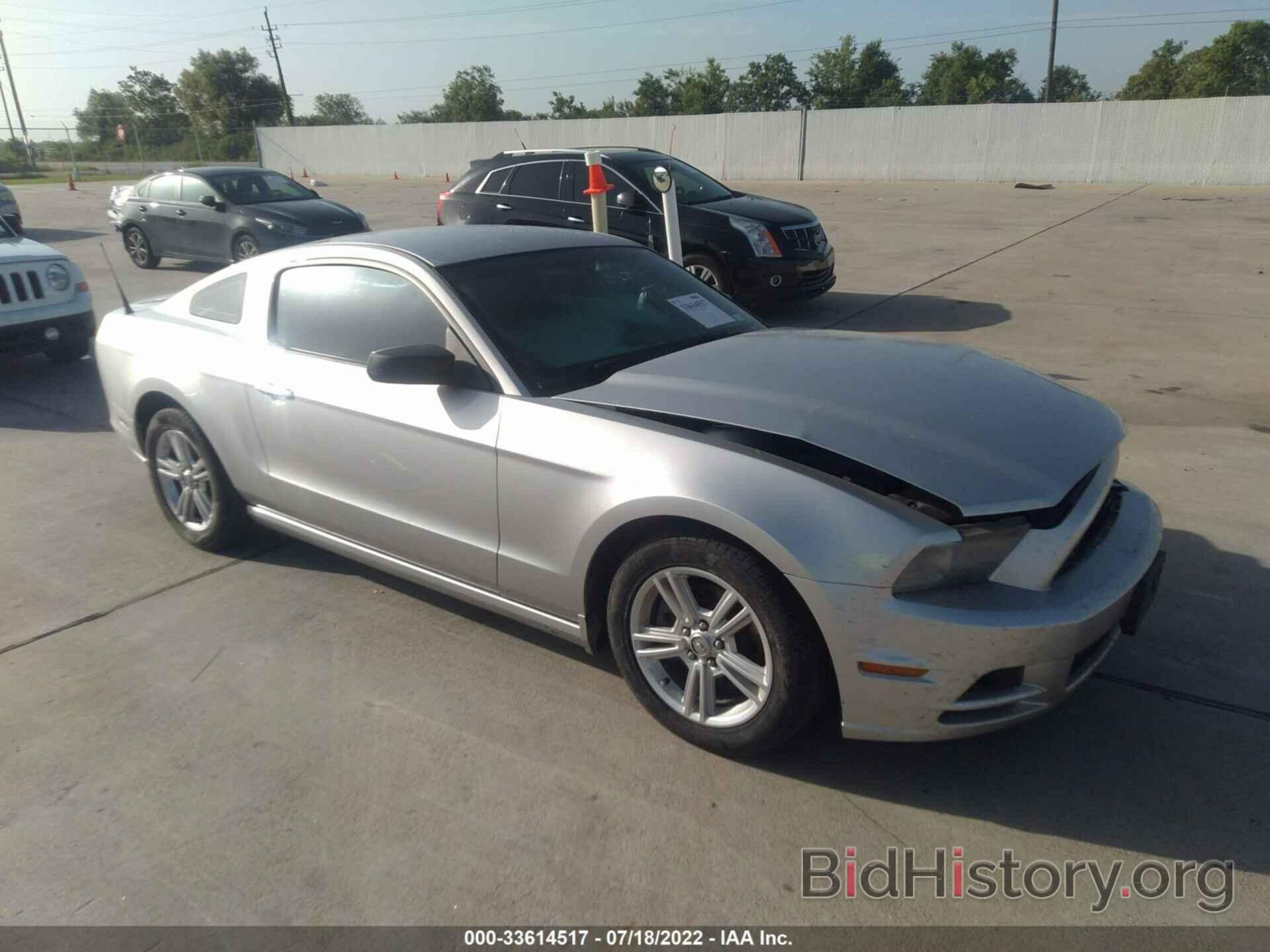 Photo 1ZVBP8AM5E5226417 - FORD MUSTANG 2014