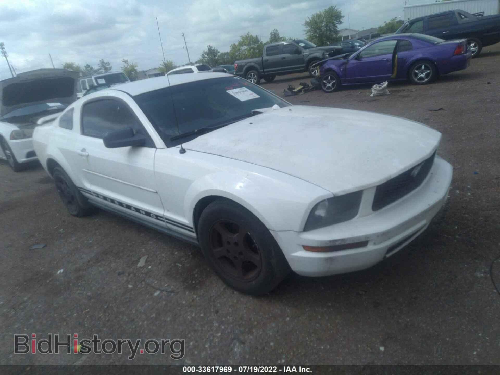 Photo 1ZVFT80N265199203 - FORD MUSTANG 2006