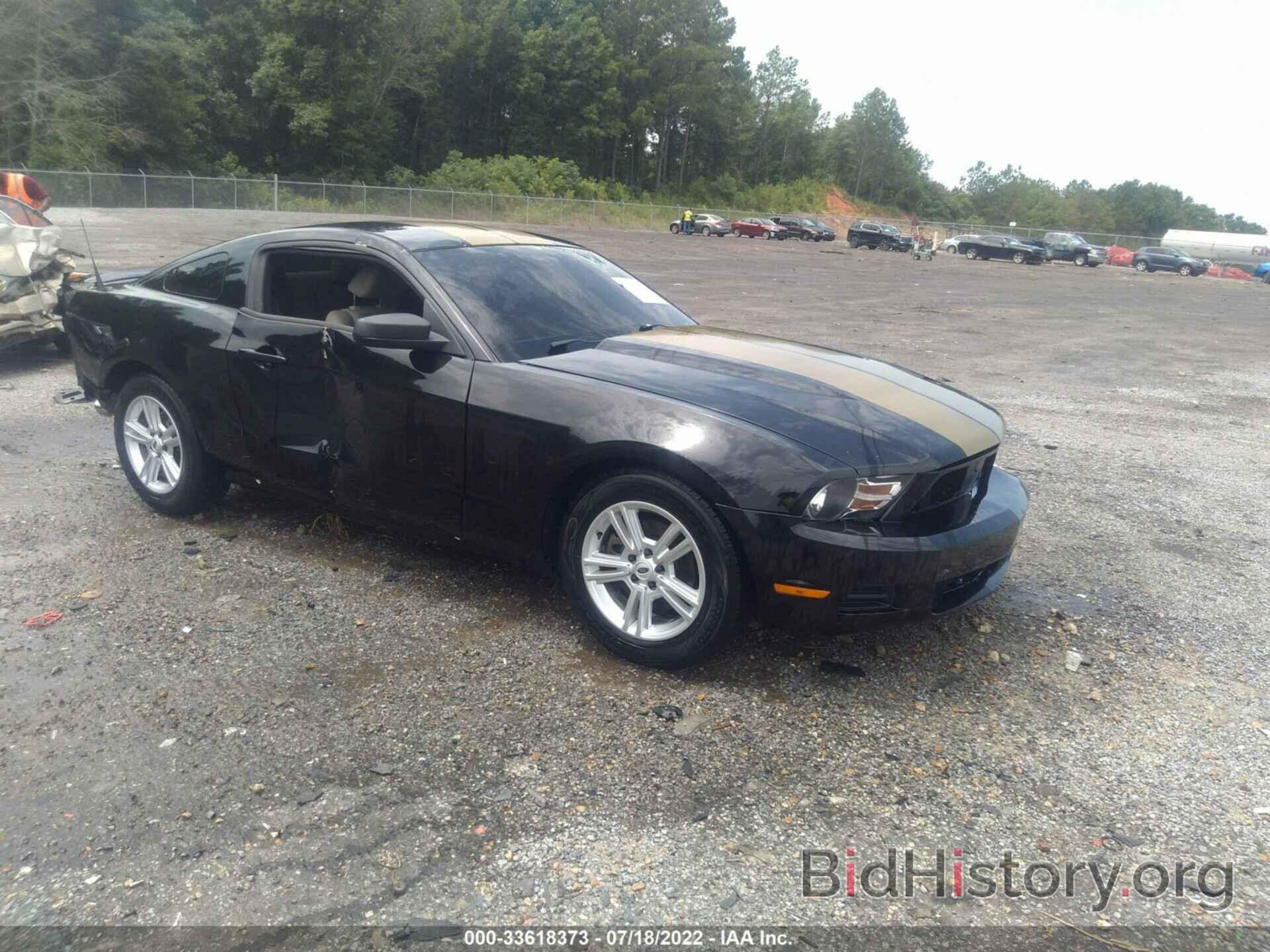 Photo 1ZVBP8AM1C5238397 - FORD MUSTANG 2012