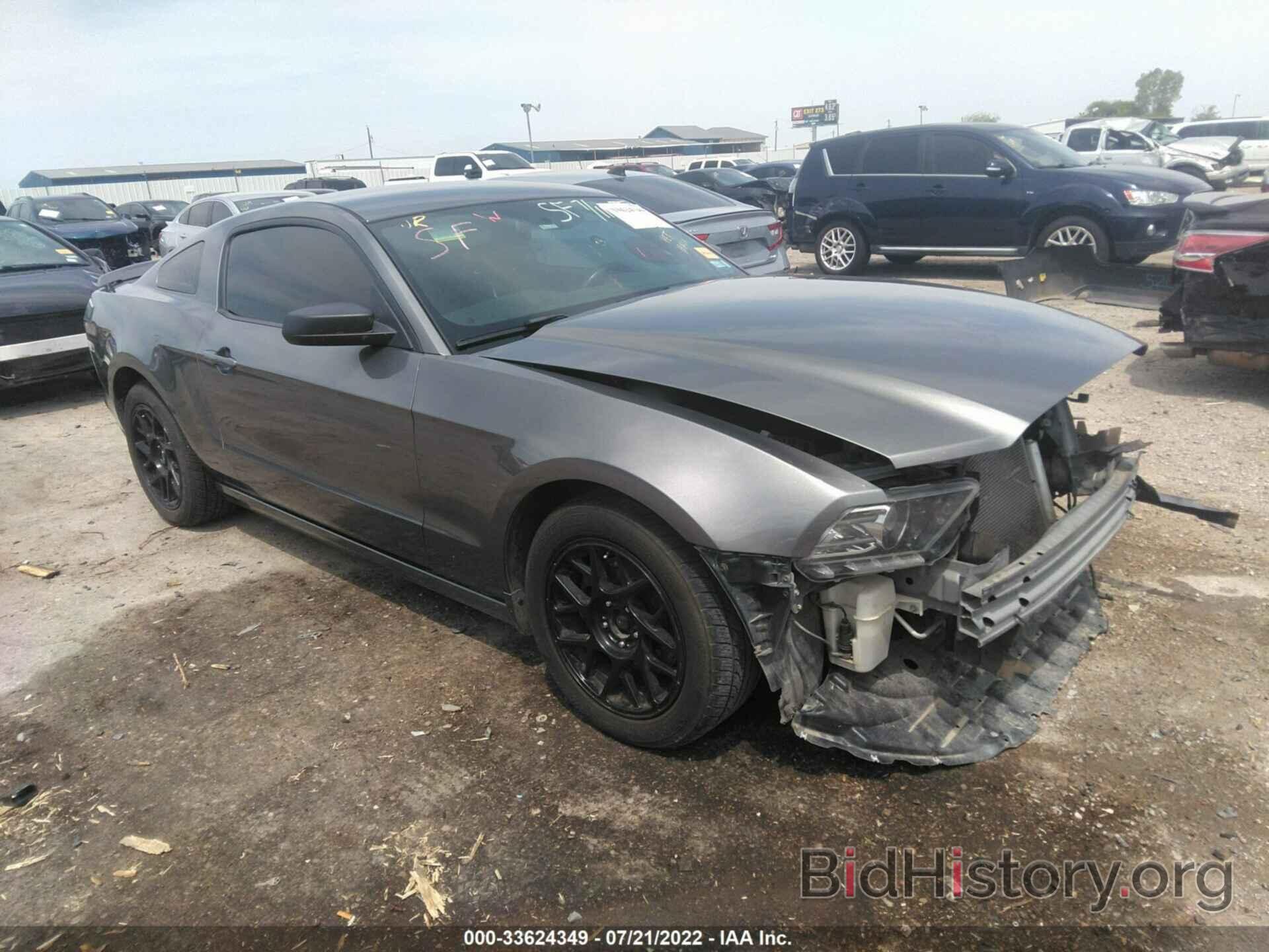 Photo 1ZVBP8AM0E5249801 - FORD MUSTANG 2014