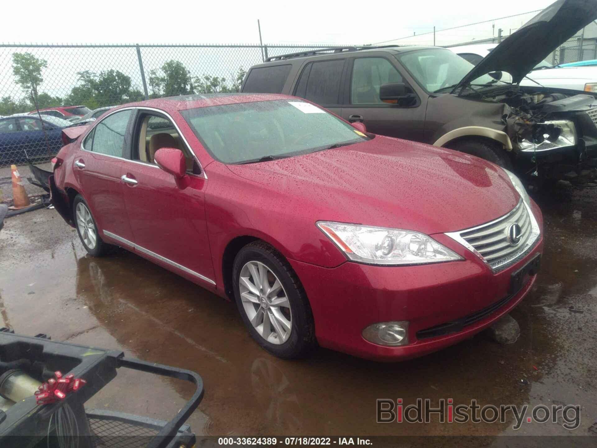 Фотография JTHBK1EG3C2479097 - LEXUS ES 350 2012