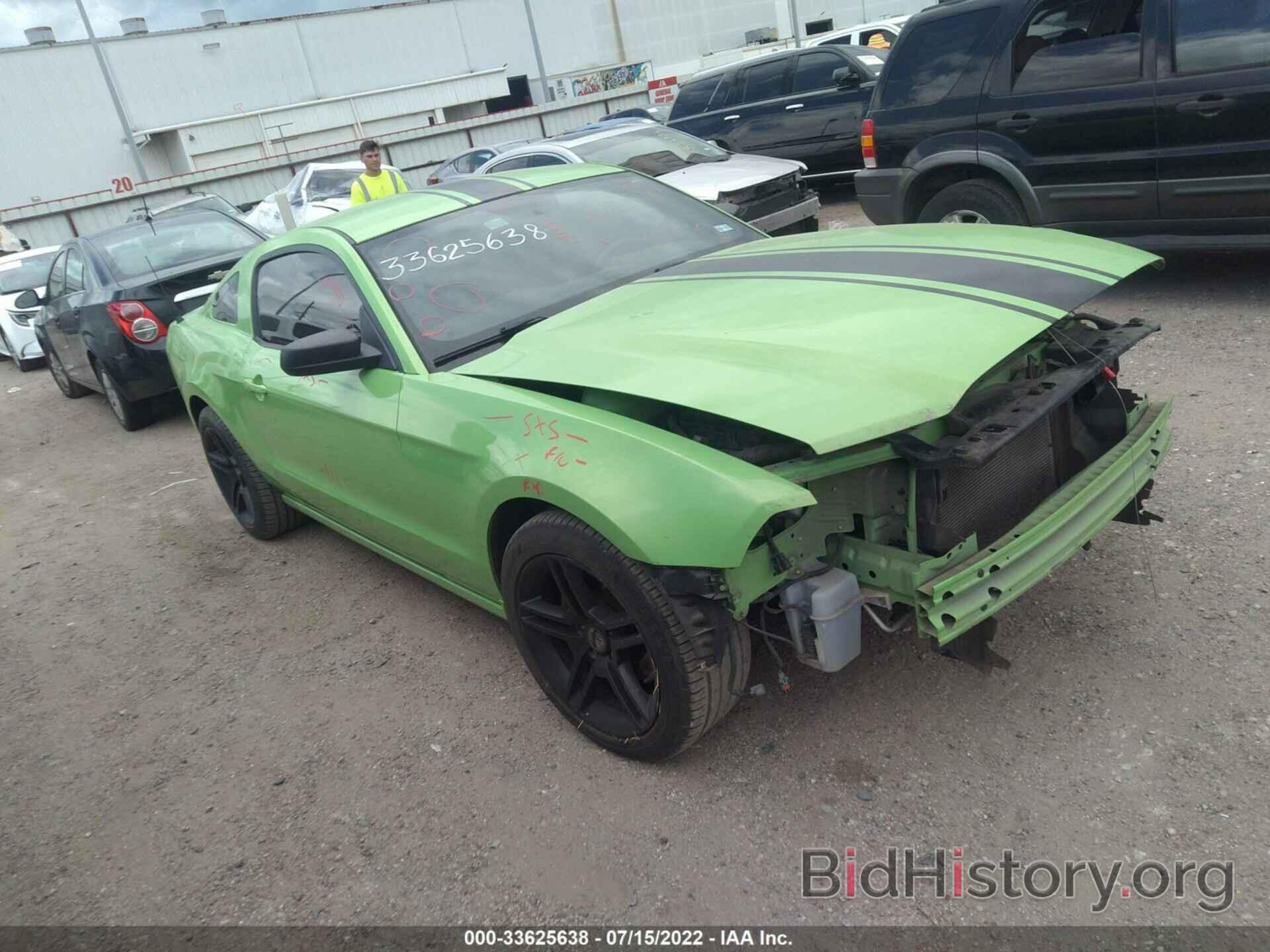Photo 1ZVBP8AM1E5257213 - FORD MUSTANG 2014