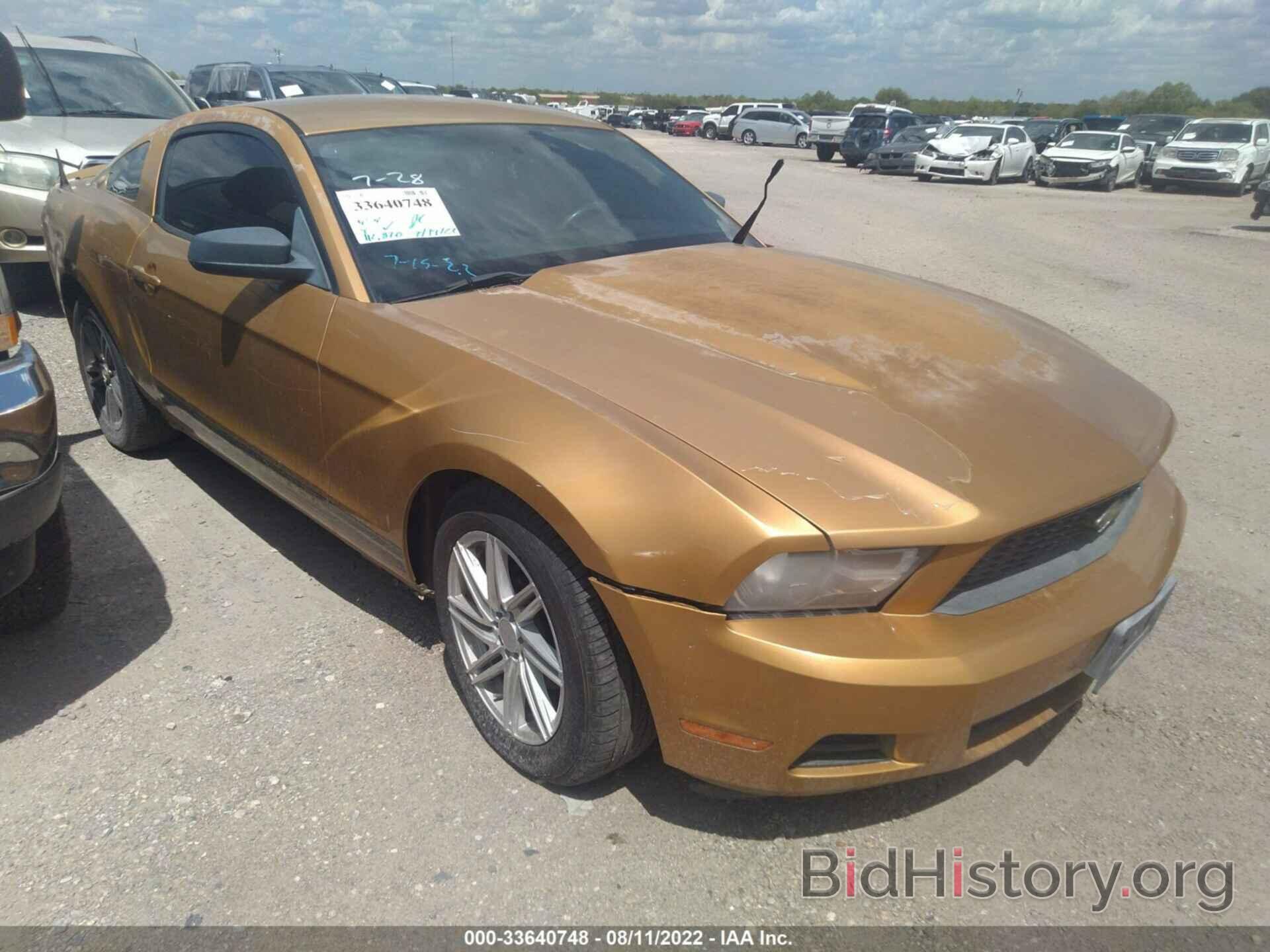 Photo 1ZVBP8AN5A5109519 - FORD MUSTANG 2010