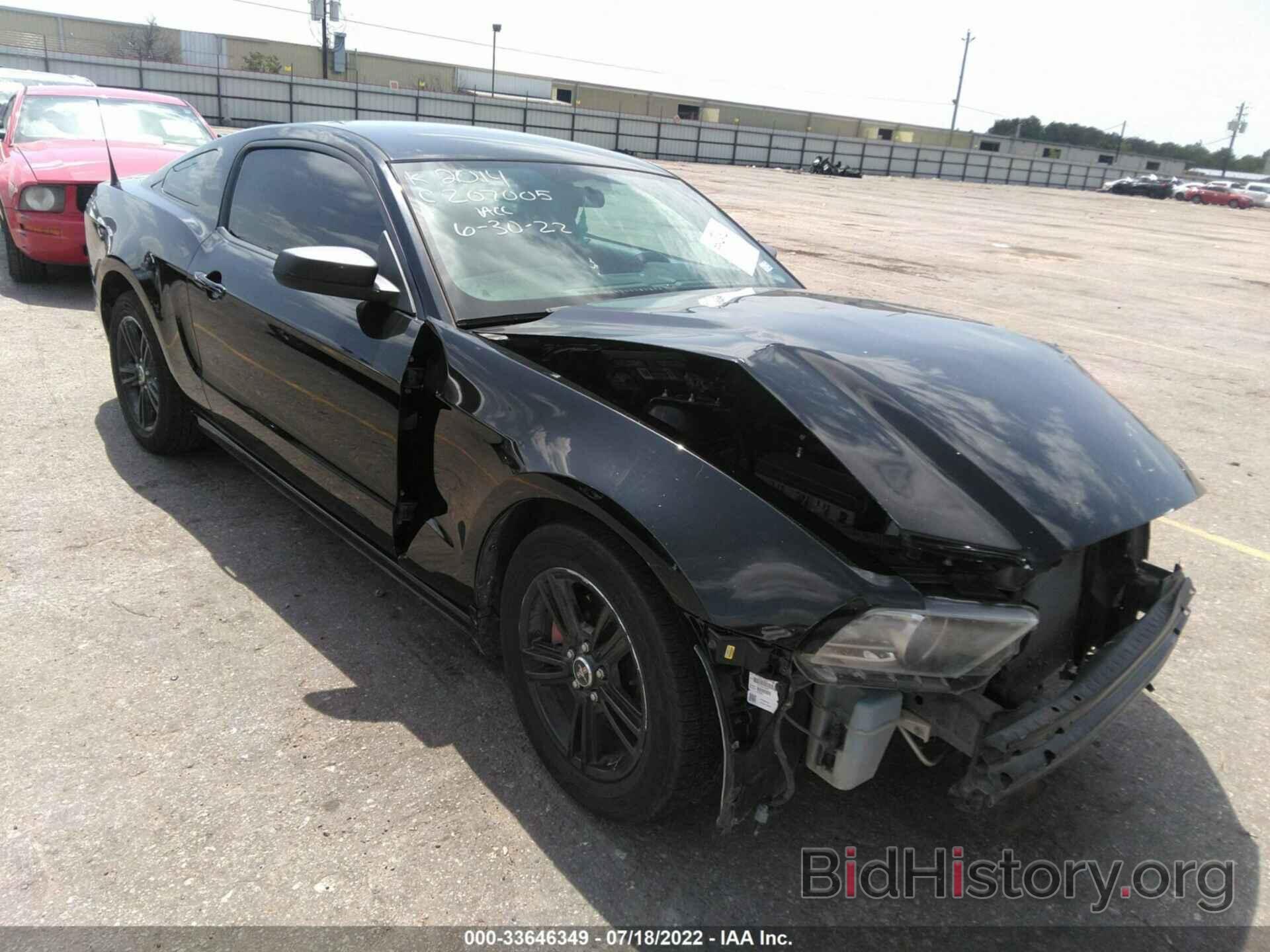 Photo 1ZVBP8AM5E5261359 - FORD MUSTANG 2014