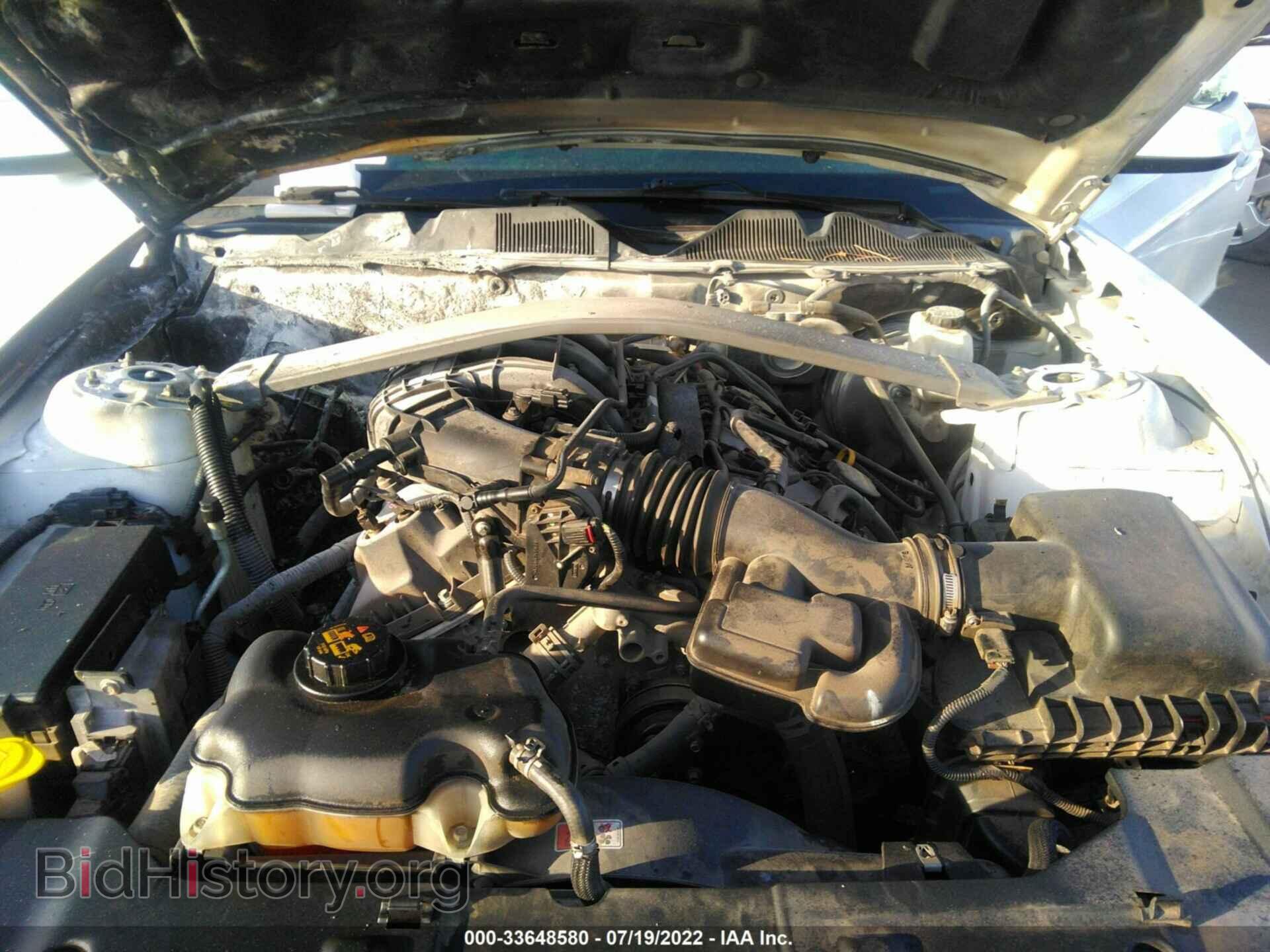 2014 FORD MUSTANG - VIN: 1ZVBP8EM5E5213497 - Фото 10