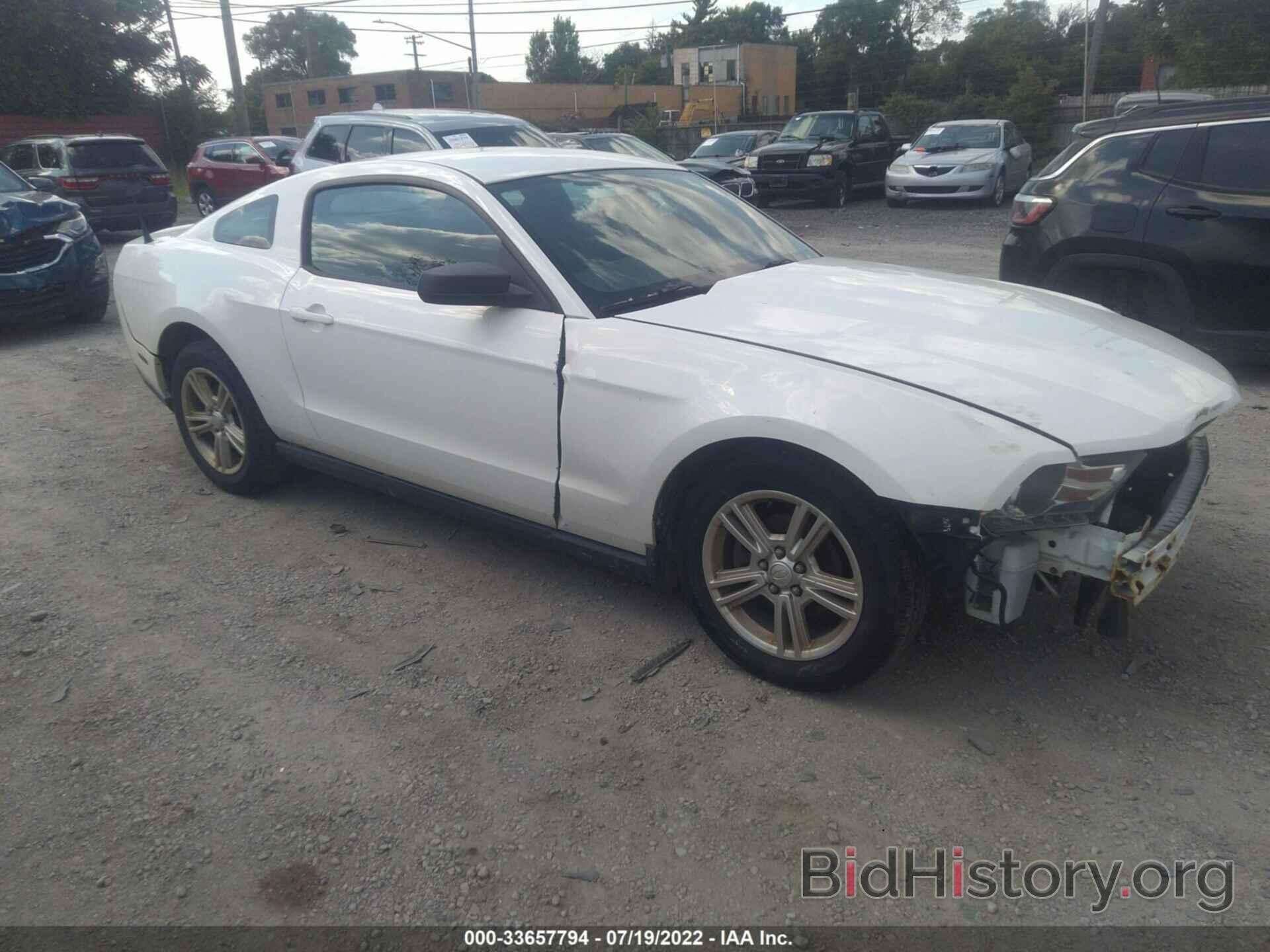 Photo 1ZVBP8AN5A5180607 - FORD MUSTANG 2010
