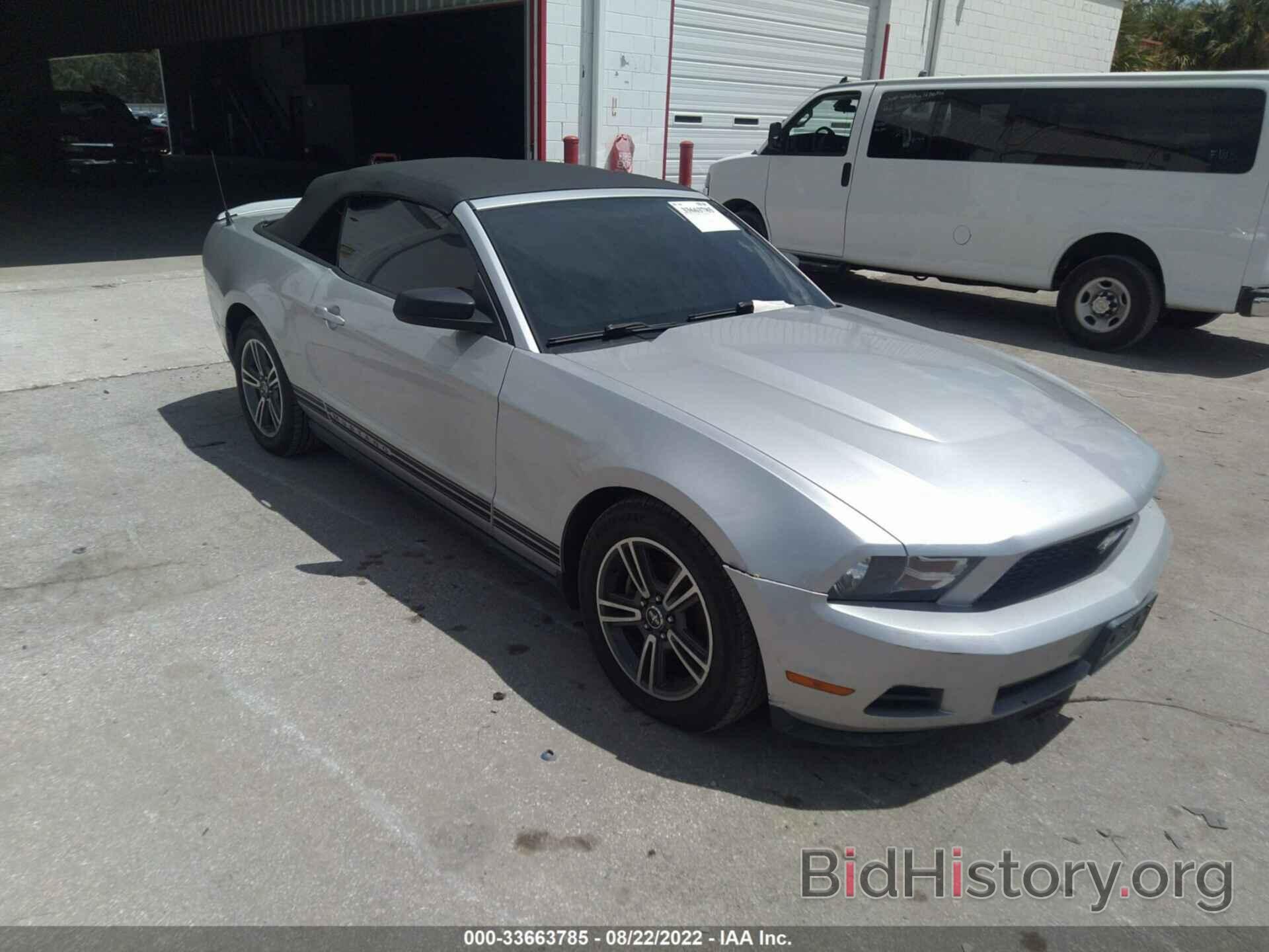 Photo 1ZVBP8EN0A5167211 - FORD MUSTANG 2010