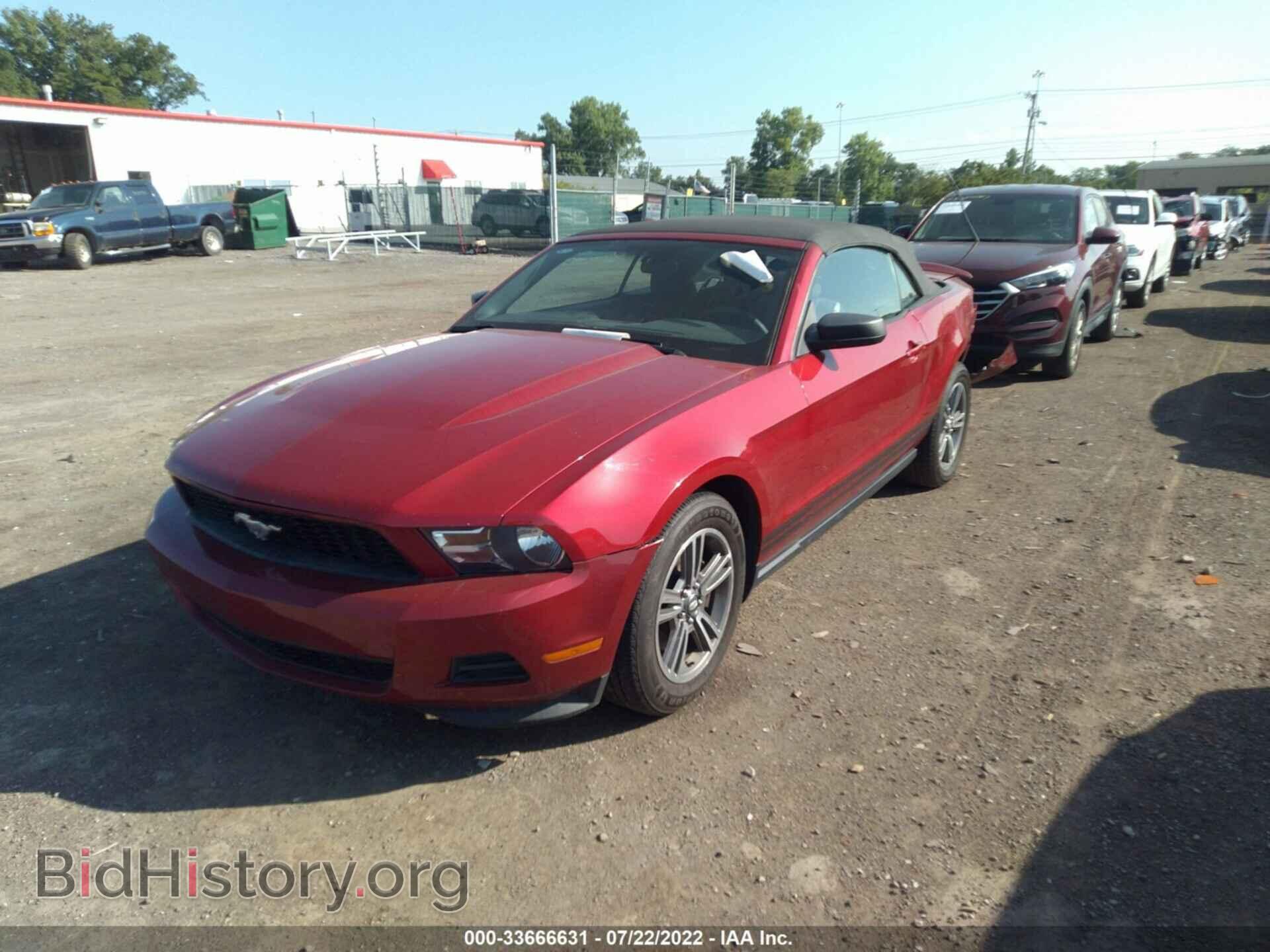 2011 FORD MUSTANG - VIN: 1ZVBP8EM0B5151633 - Фото 2