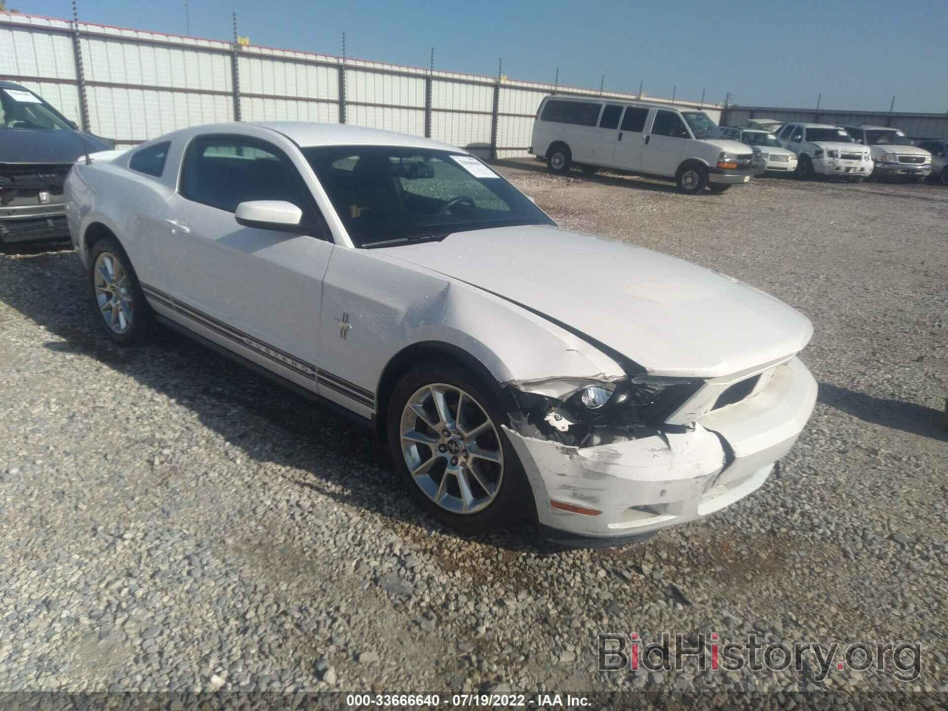 Photo 1ZVBP8AN3A5117067 - FORD MUSTANG 2010