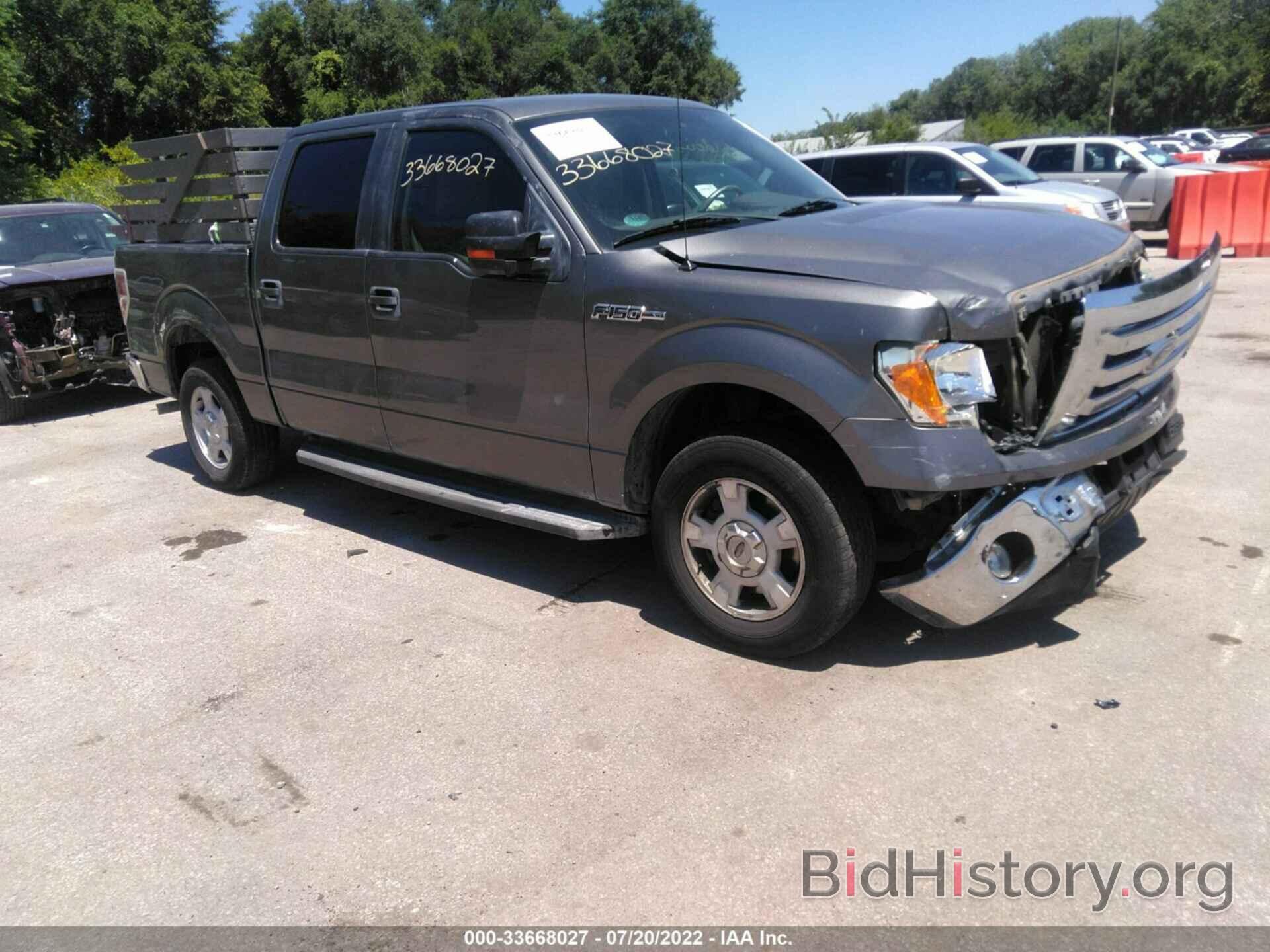 Photo 1FTEW1C80AFD81259 - FORD F-150 2010