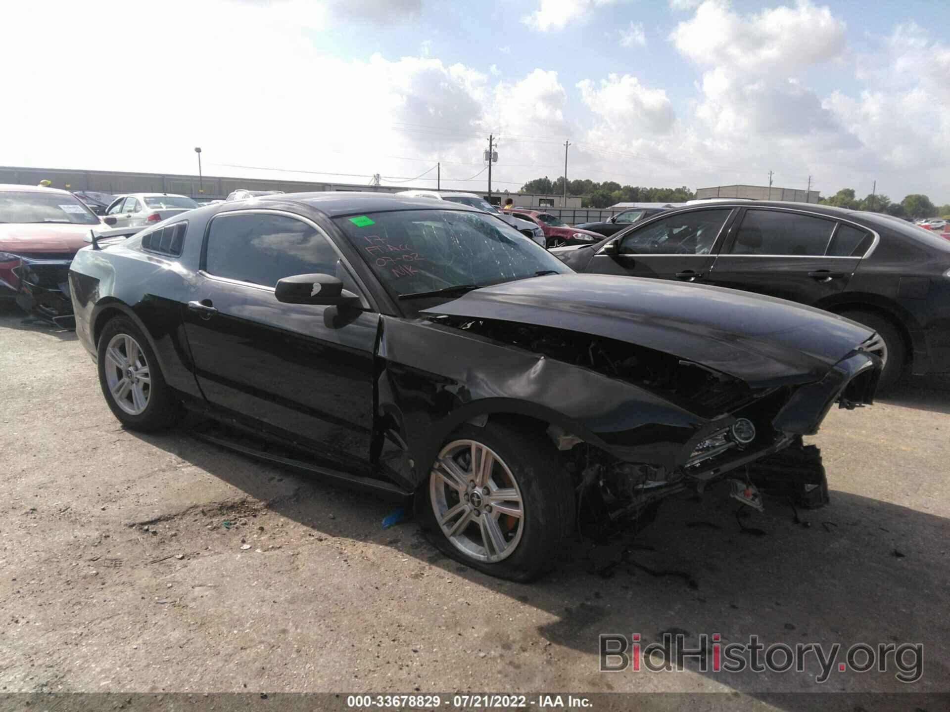 Photo 1ZVBP8AM8E5332067 - FORD MUSTANG 2014