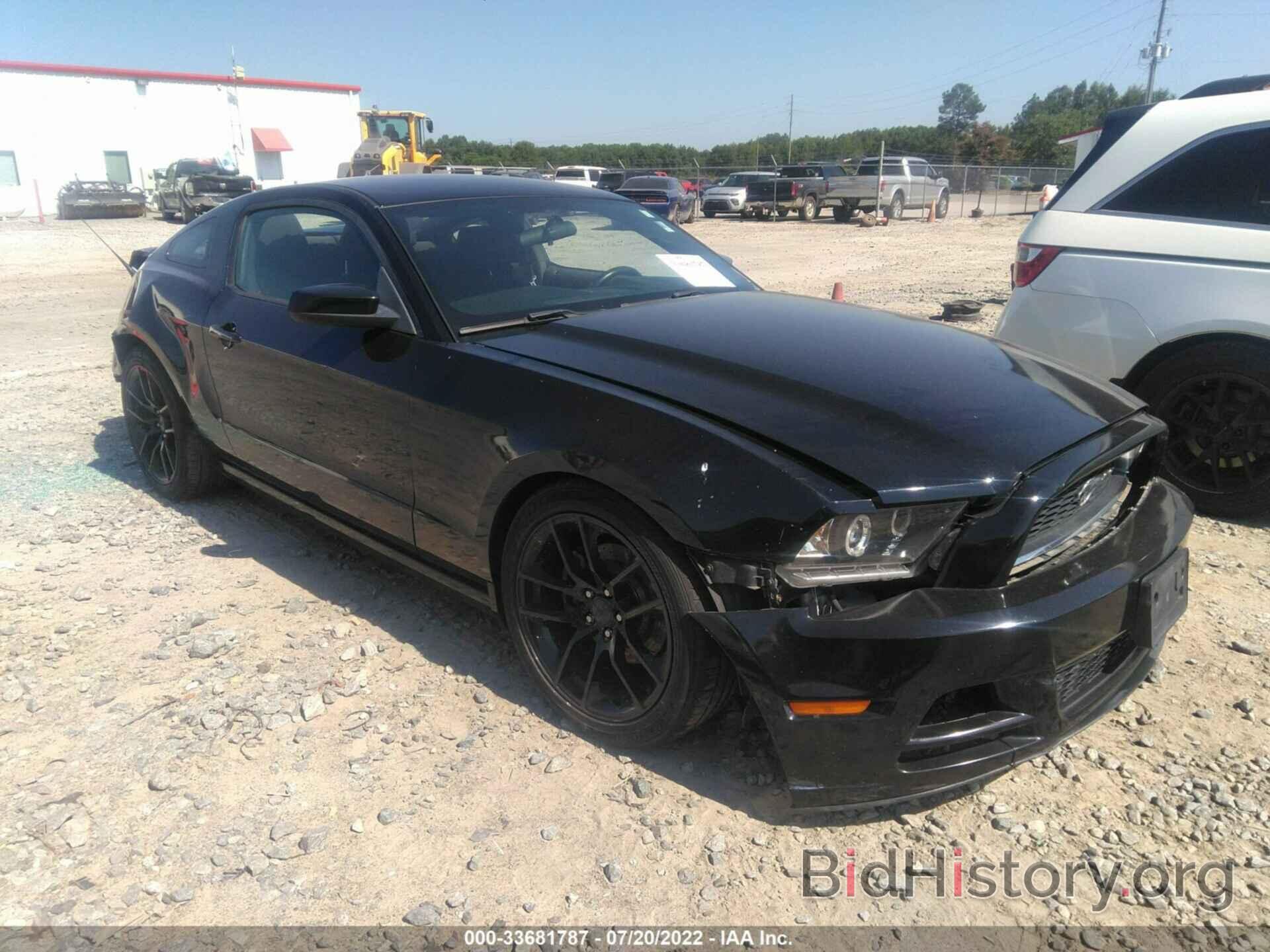 Photo 1ZVBP8AM4D5262243 - FORD MUSTANG 2013