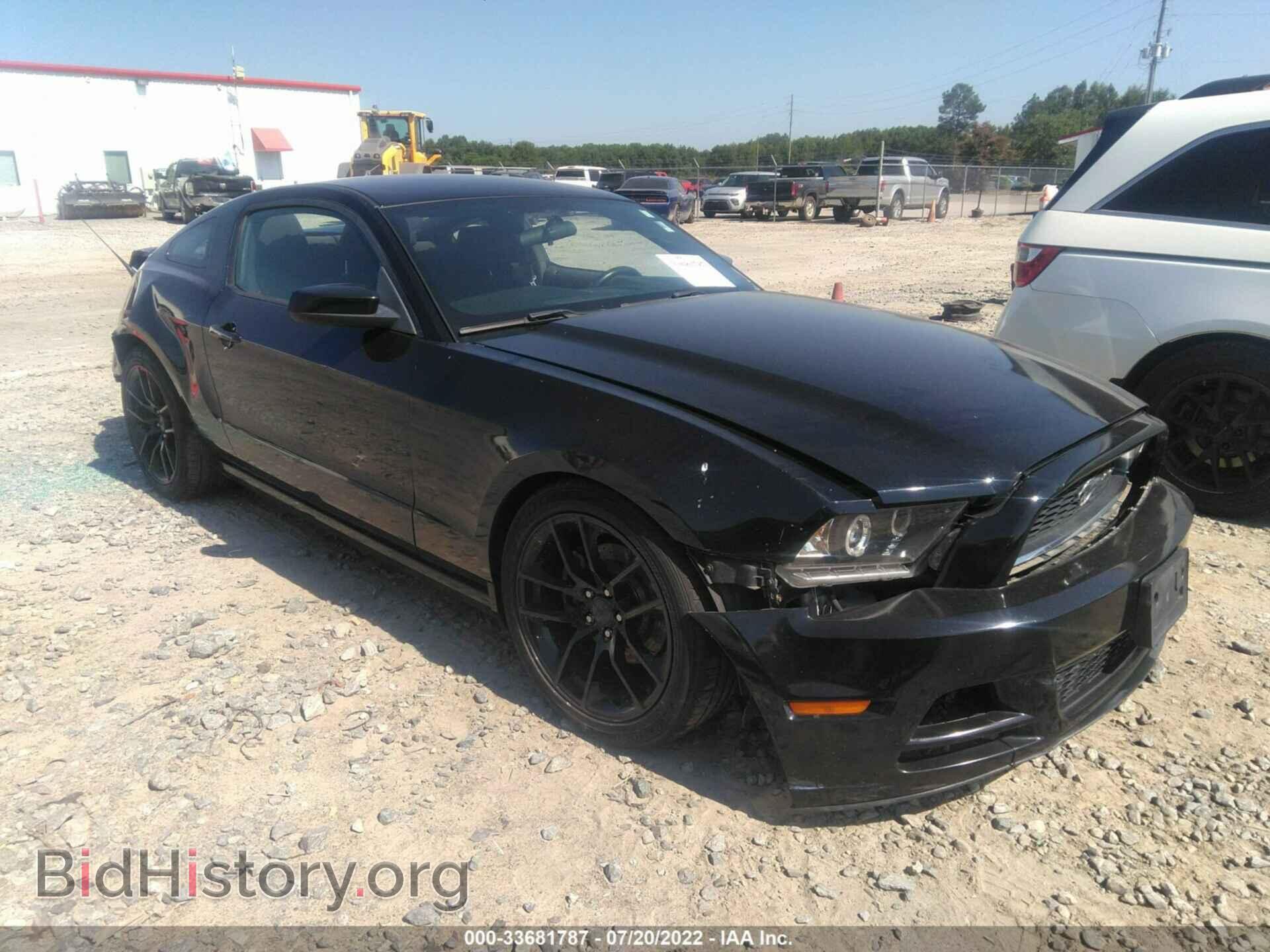 Фотография 1ZVBP8AM4D5262243 - FORD MUSTANG 2013