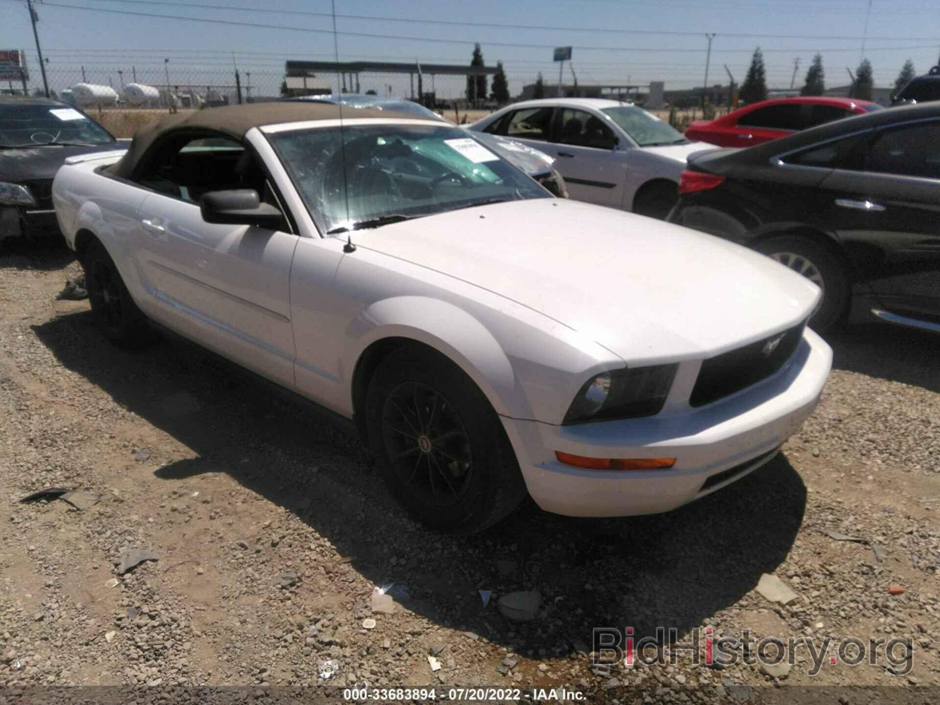 Photo 1ZVHT84N885134457 - FORD MUSTANG 2008